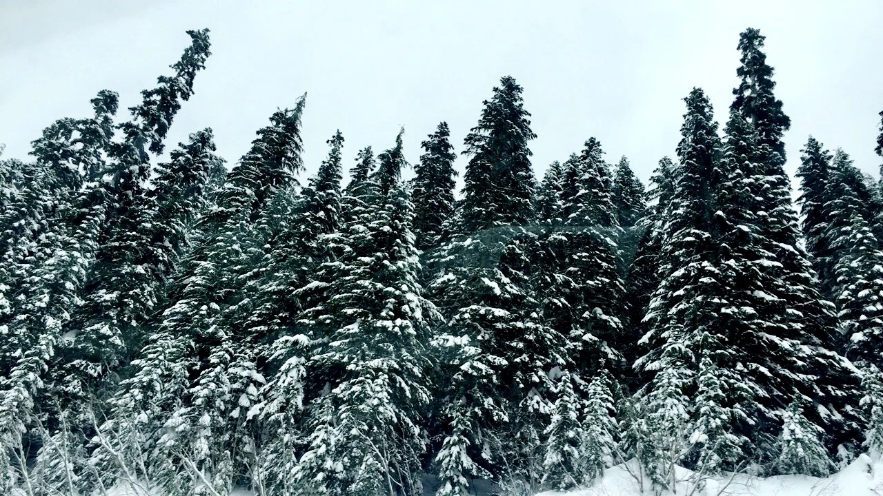 must needs in life: weekend getaways.