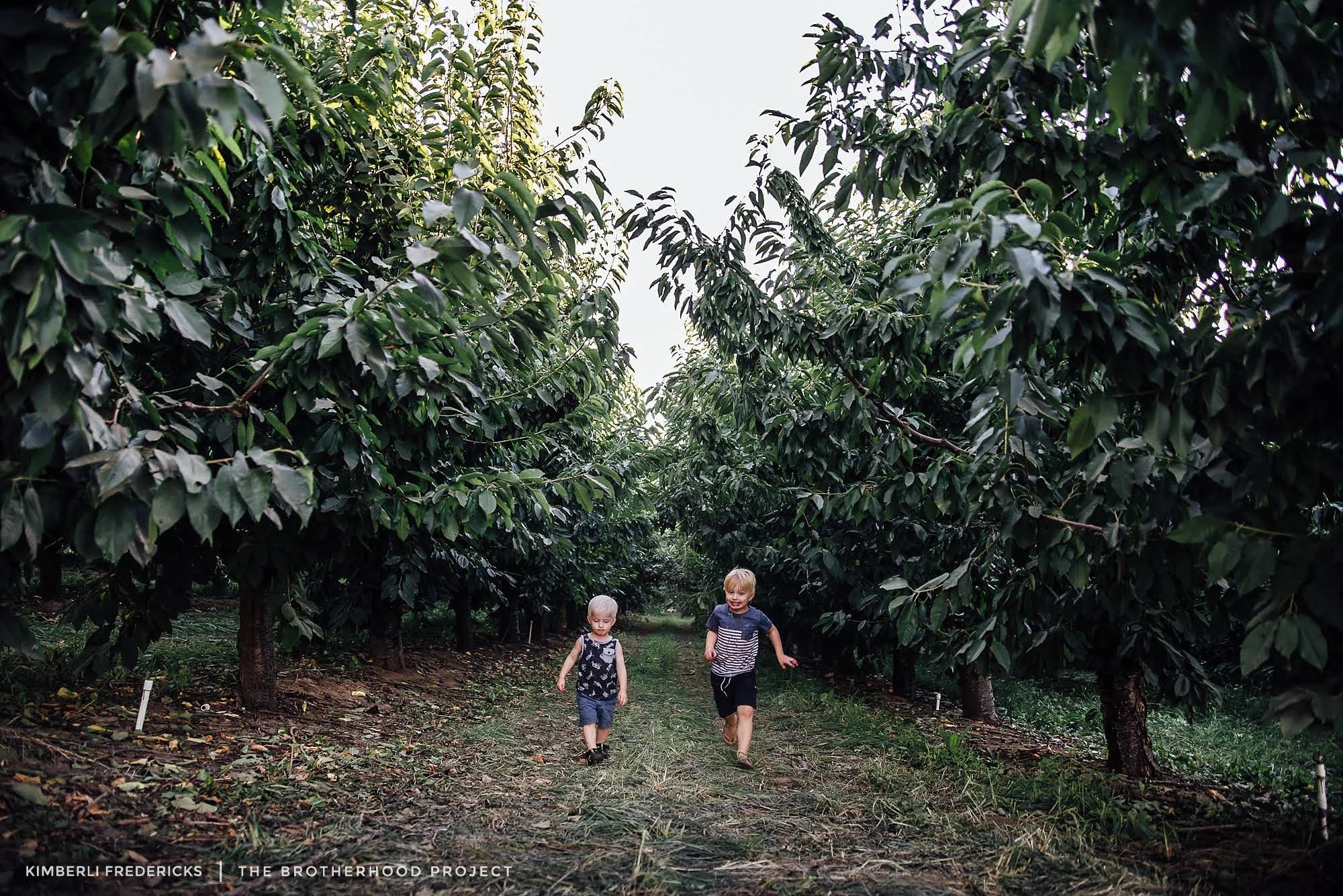 This image makes me laugh, because it’s so you. Two brothers, walking life side by side, each with his own personality. One of you walking in peace, one of you walking with all of the exuberance in the world, but together nonetheless. We took this trip to the Oregon coast last month, and stopped to visit my aunt and uncle along the way. You took over their home with your own personalities (and the sickness you decided to share with each other). Here we explored the cherry orchard next door, and were covered in cherry juice for the walk home. You both loved it! You did however, hold very different feelings about their dogs, and approached them with your own levels of caution (or lack there of). Watching the two of you navigate life side by side is such a blessing!