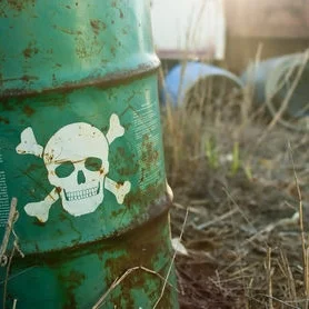 How can we live a less toxic life?