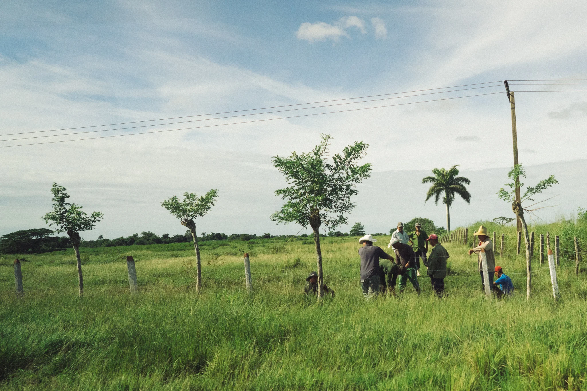 Cuba Drive Bys-06723.jpg