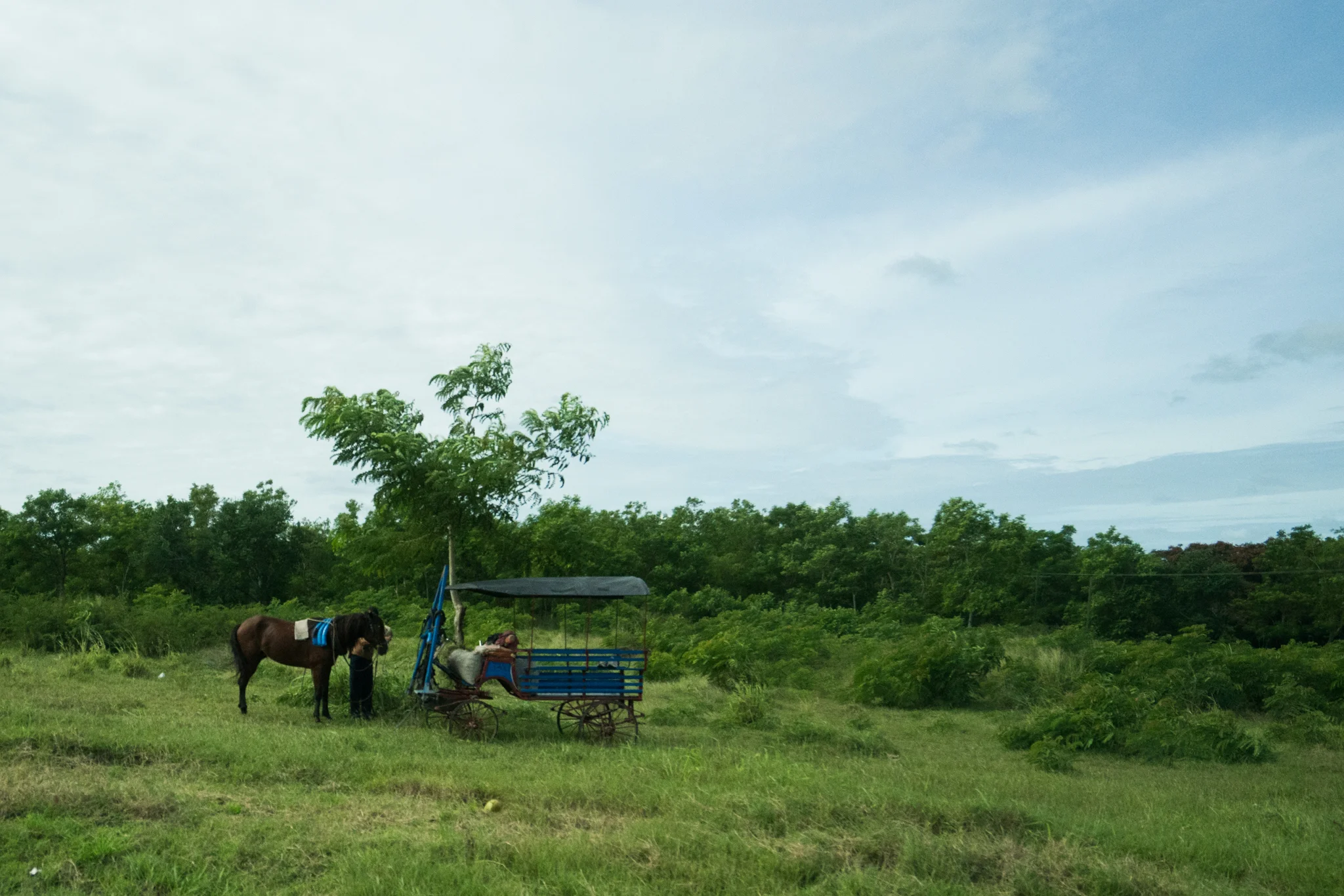 Cuba Drive Bys-06864.jpg