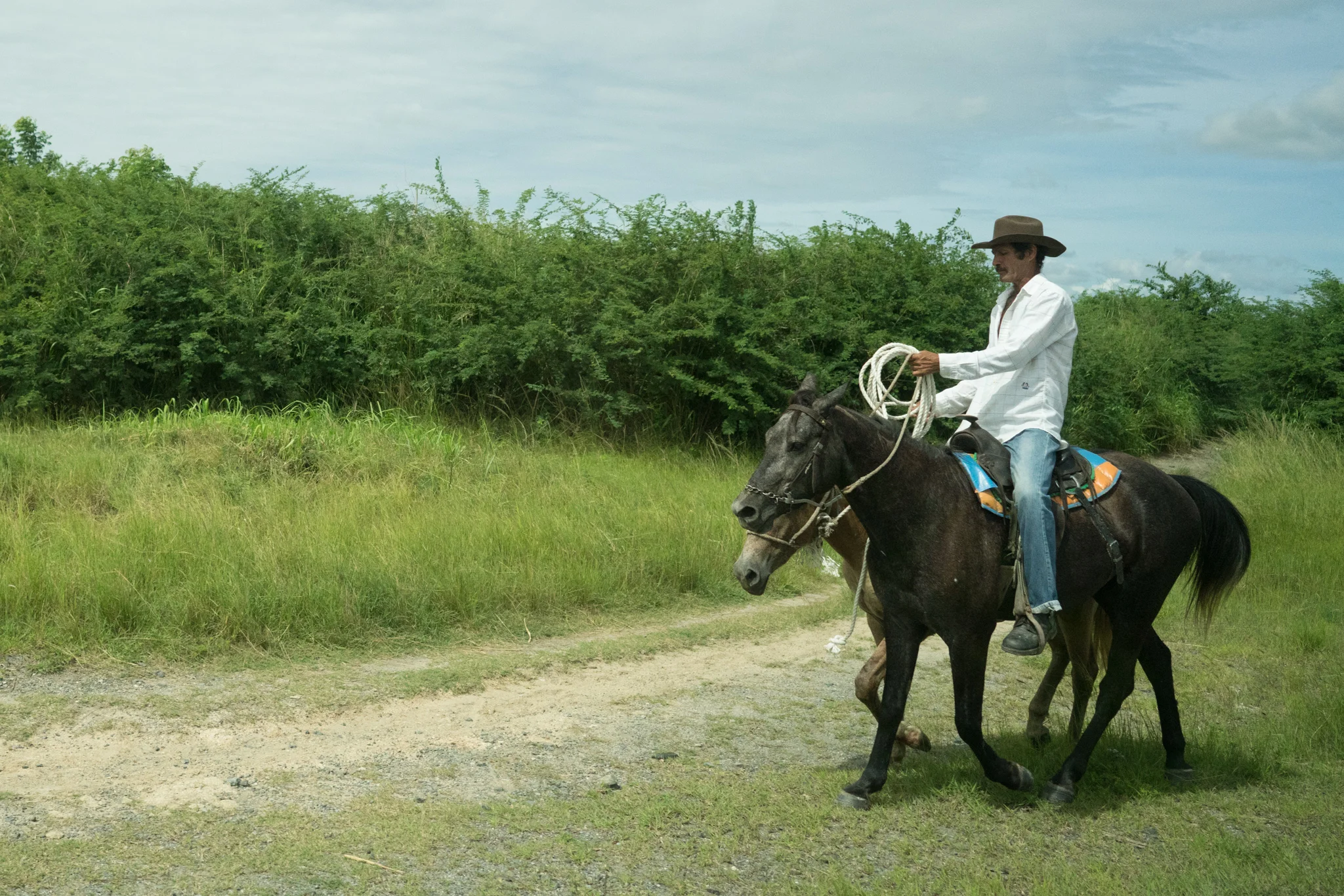 Cuba Drive Bys-06966.jpg