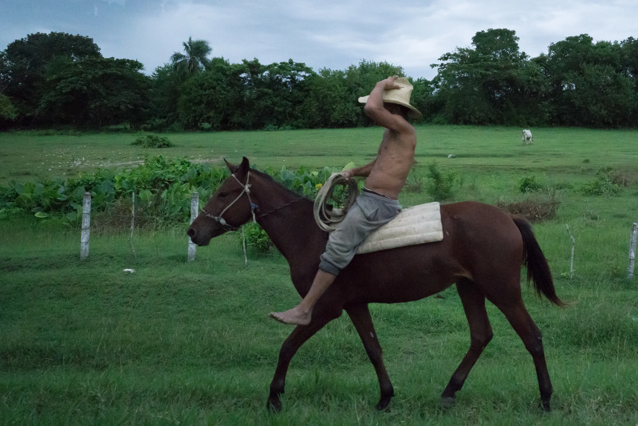 Cuba Drive Bys-07164.jpg