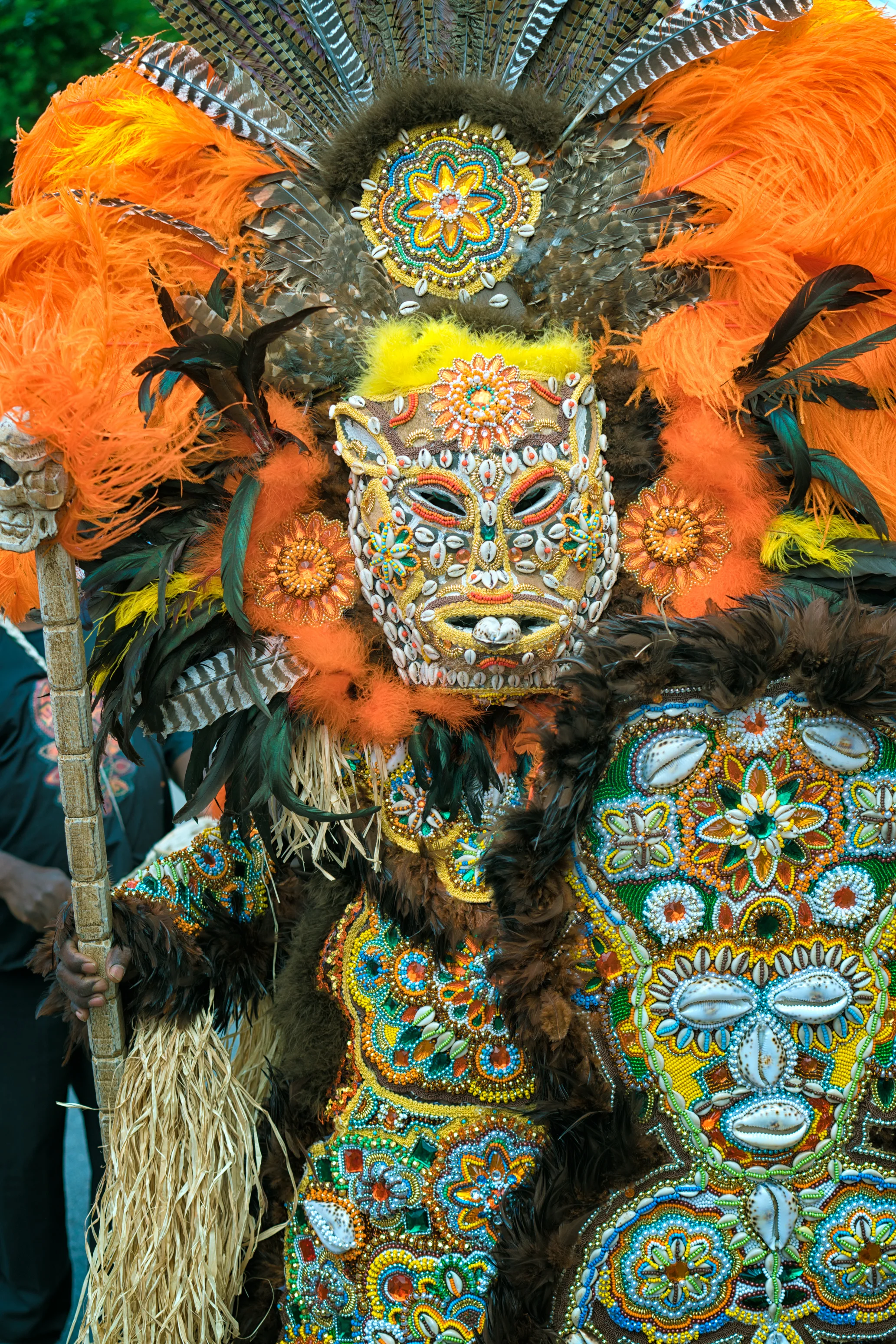 DSC02049-Edit.jpg