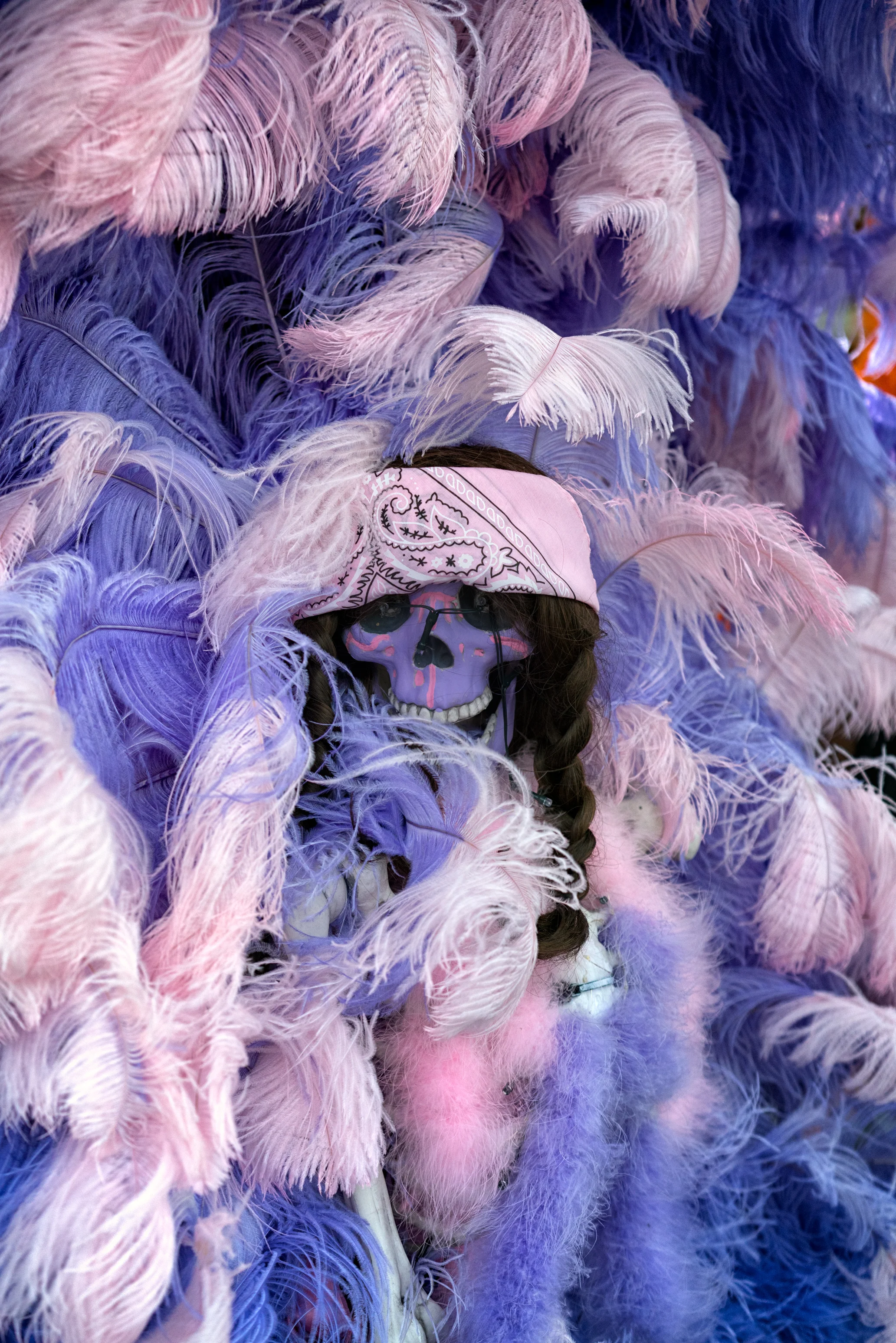 DSC02119-Edit.jpg