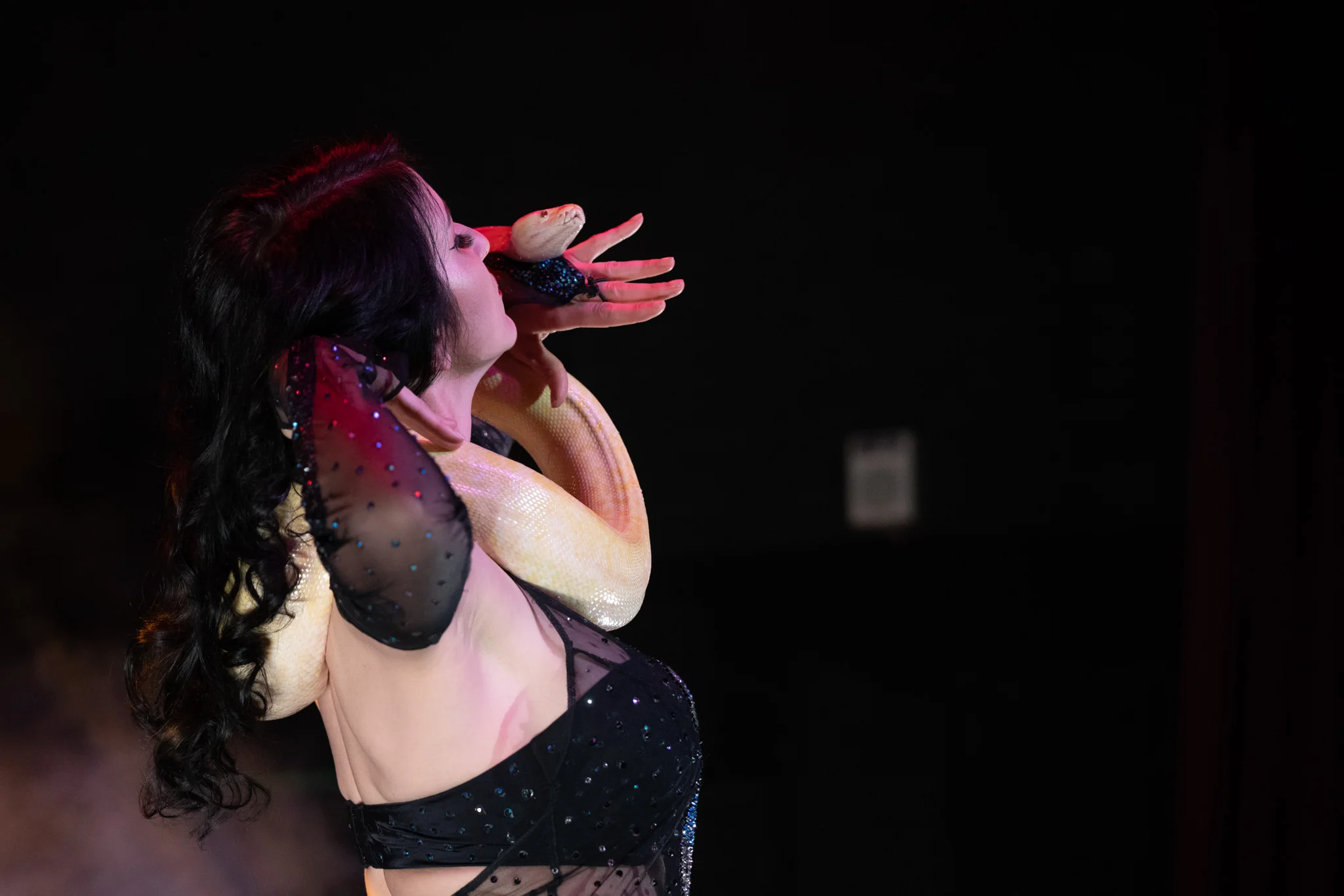 BustOutBurlesqueAug2018__50 of 81.jpg