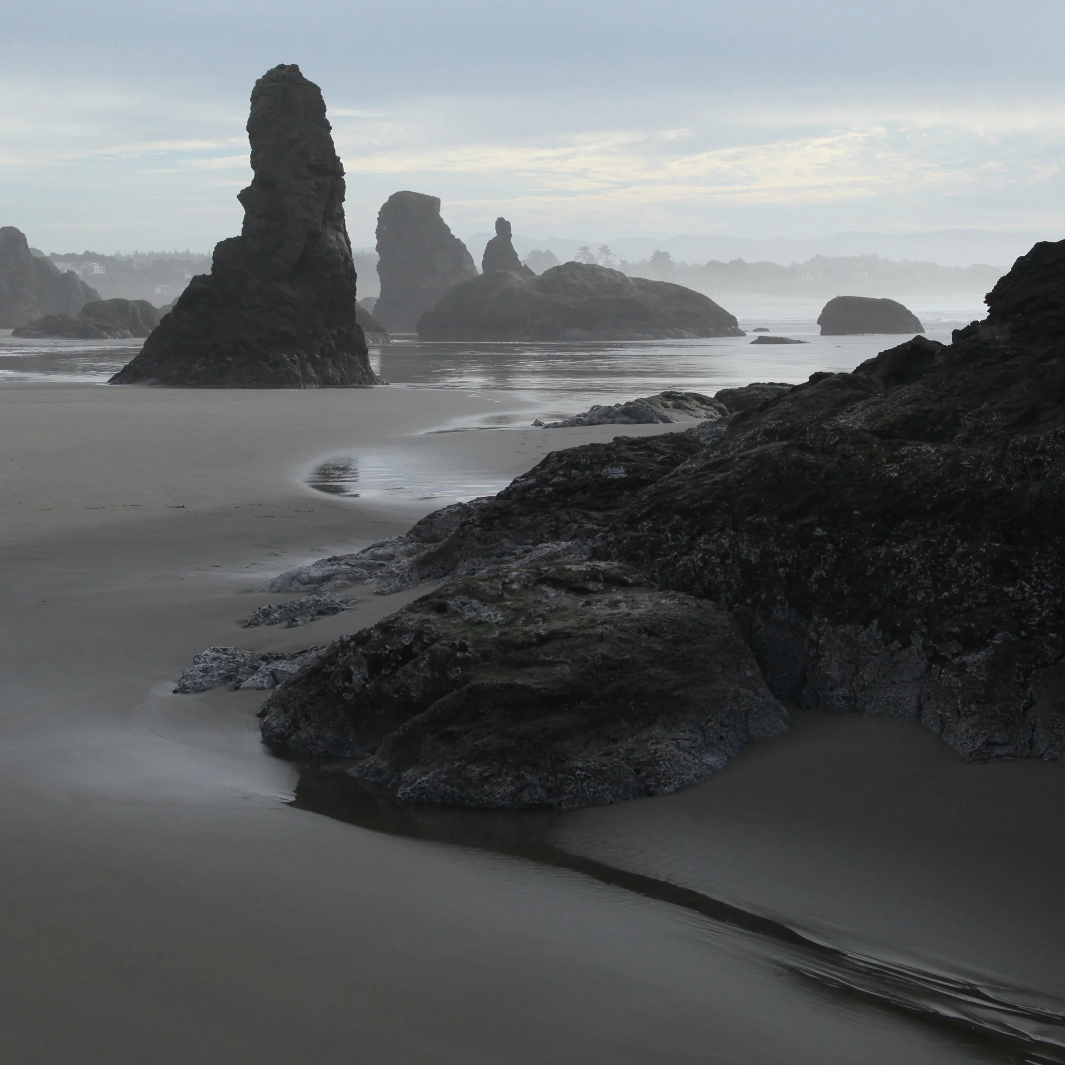IMG_0558 crop sq.jpg
