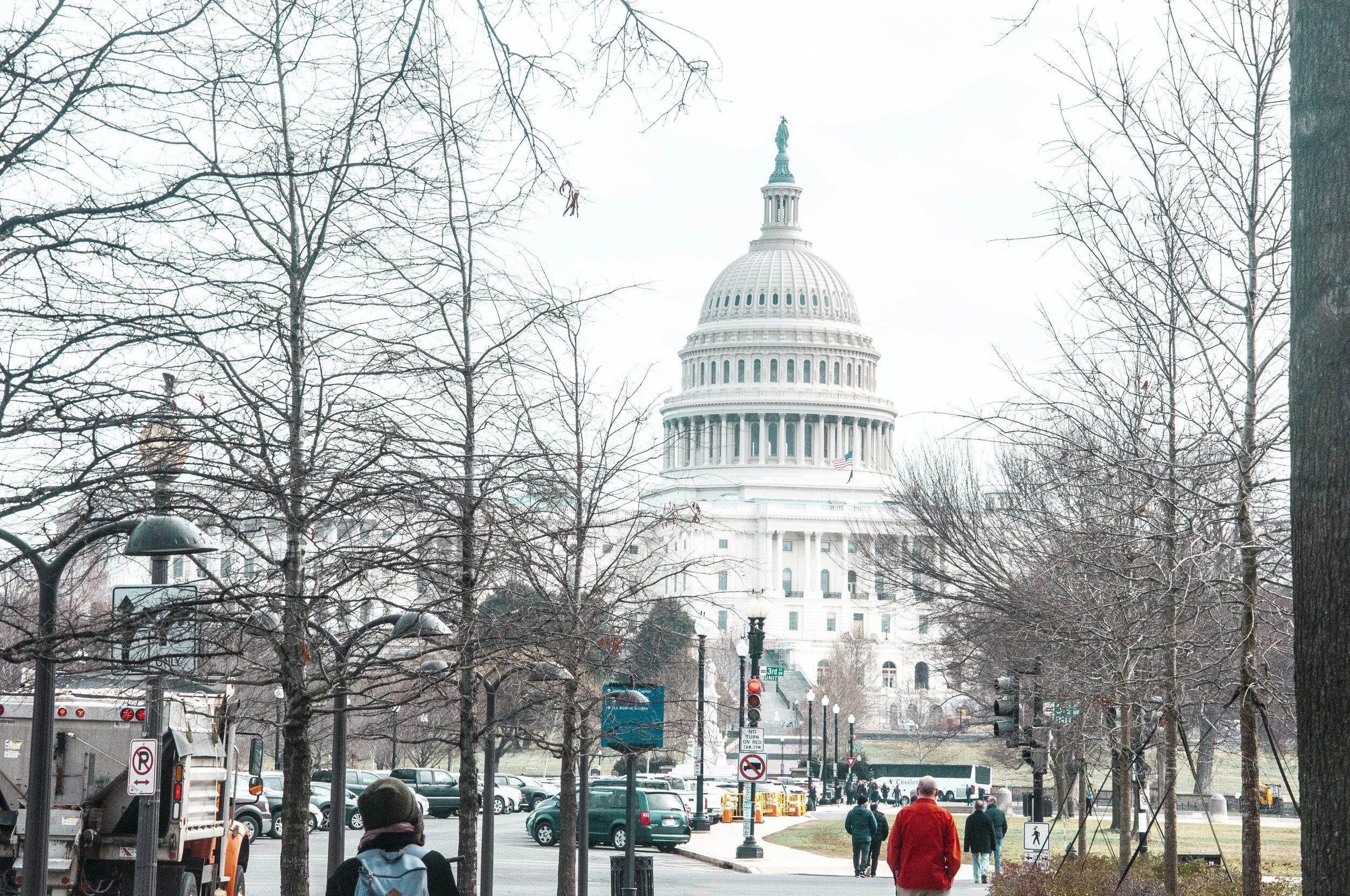 Why Diversity Matters in Political Representation