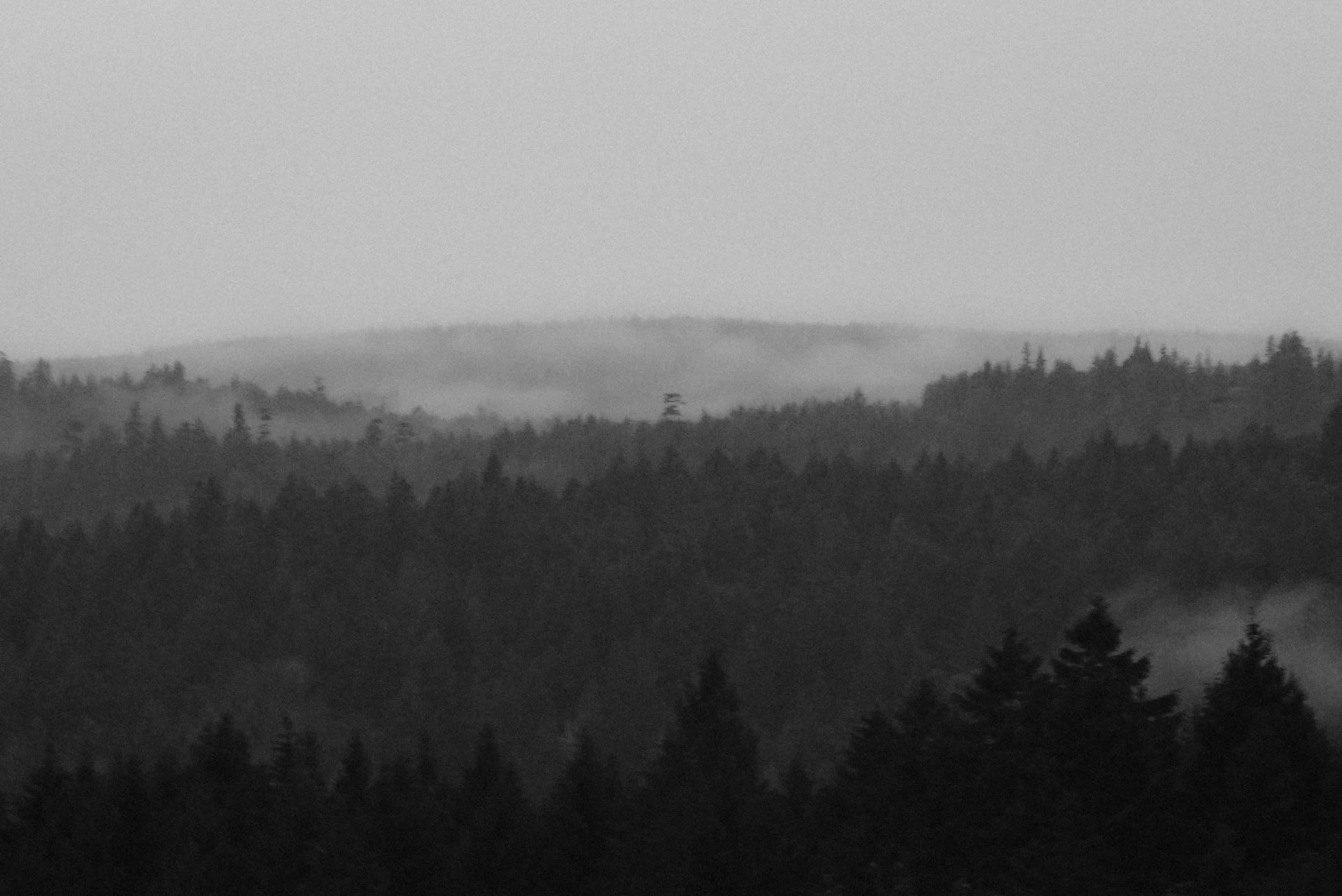 20150317-DSC00330.jpg