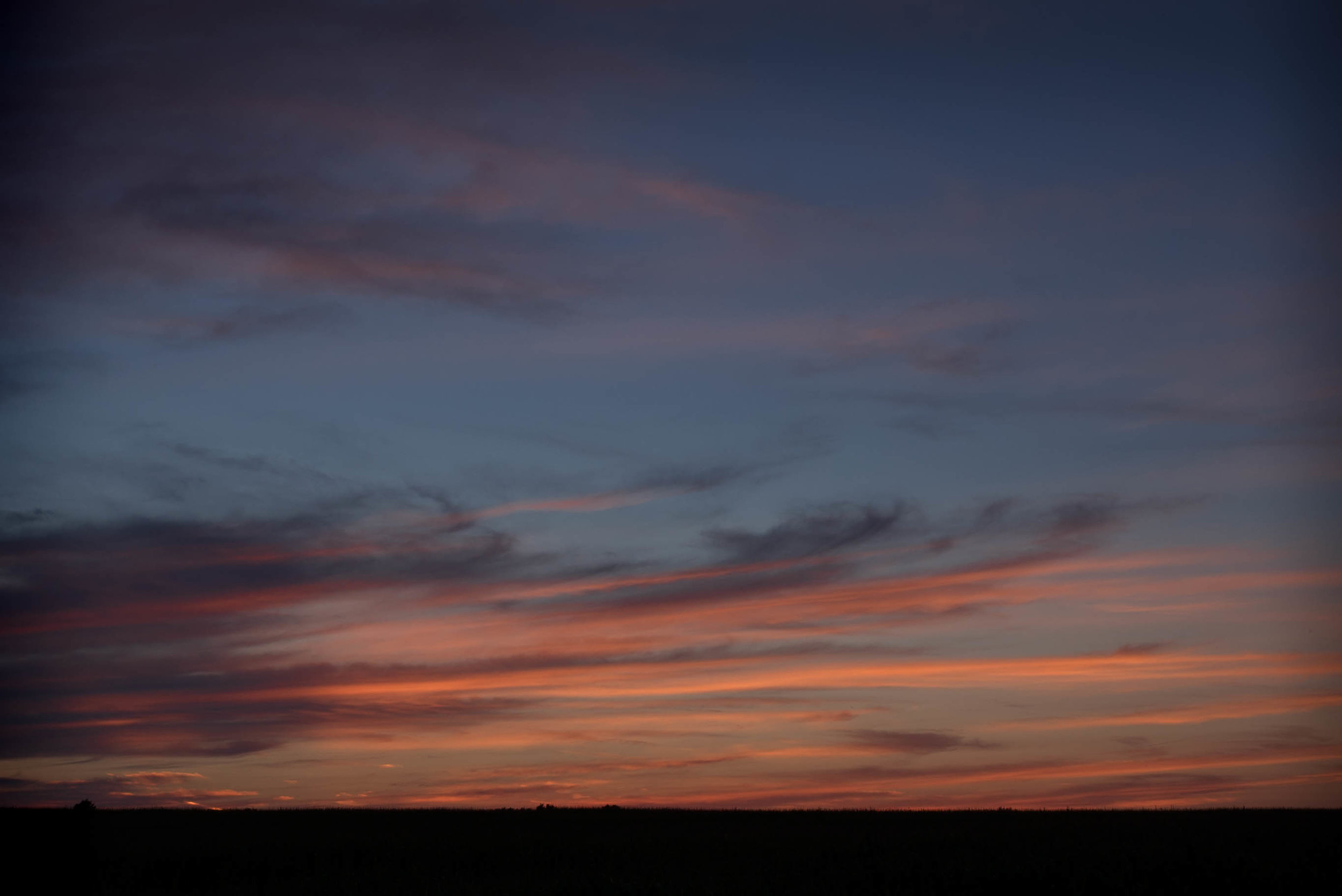 20160222-DSC06670.jpg