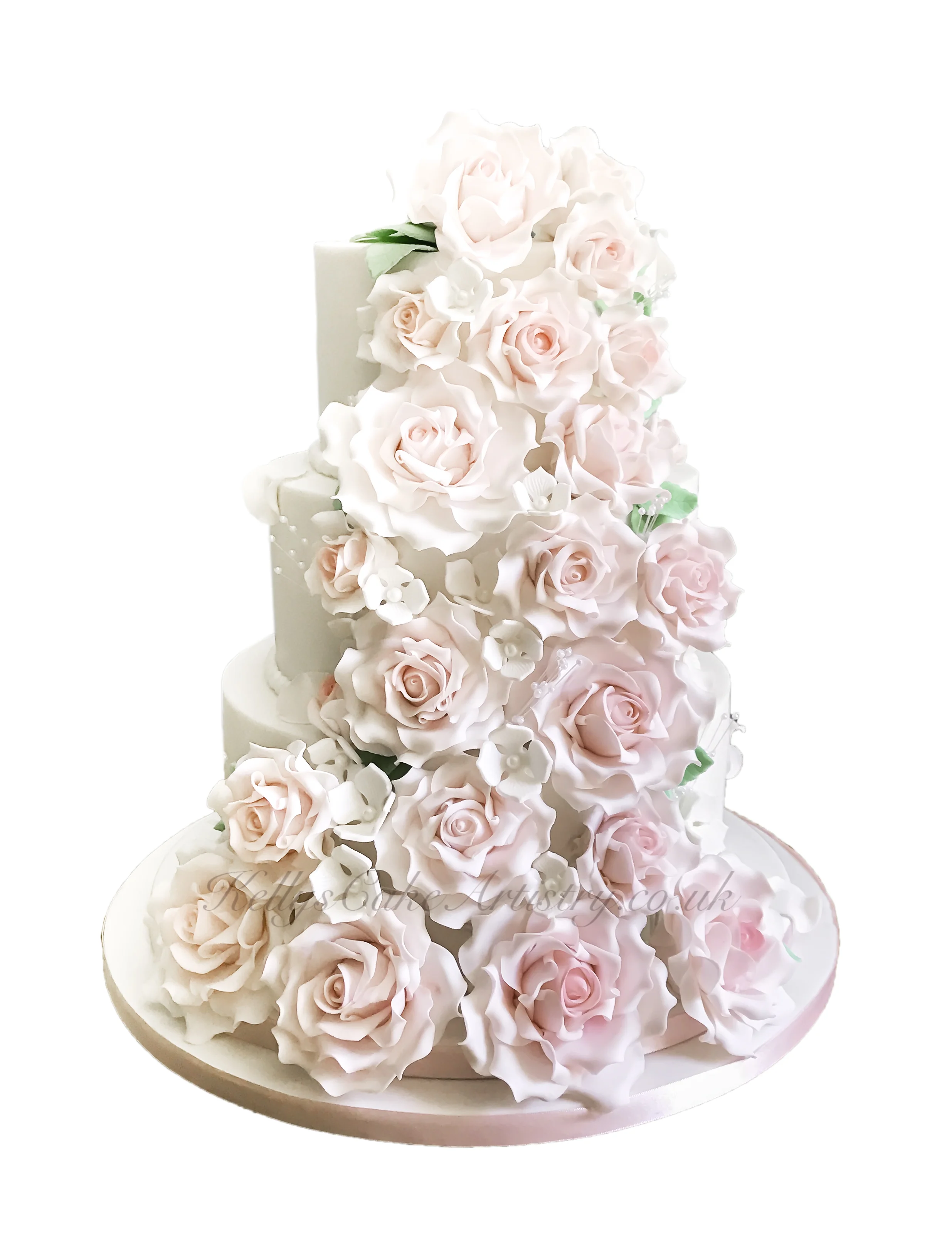 pink roses.jpg