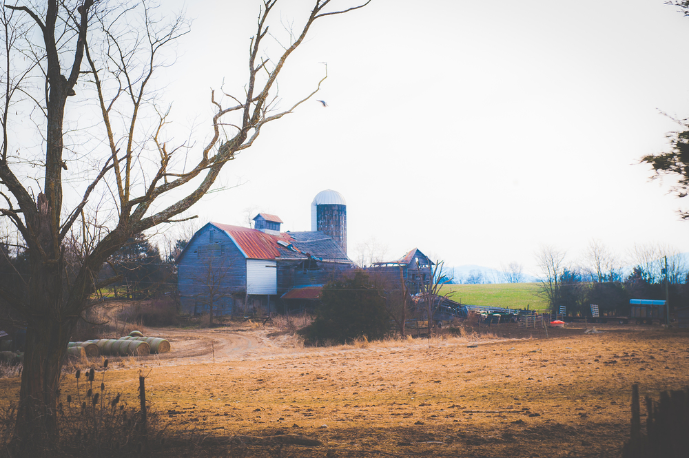 07+Around+Town_foster-0002.jpg