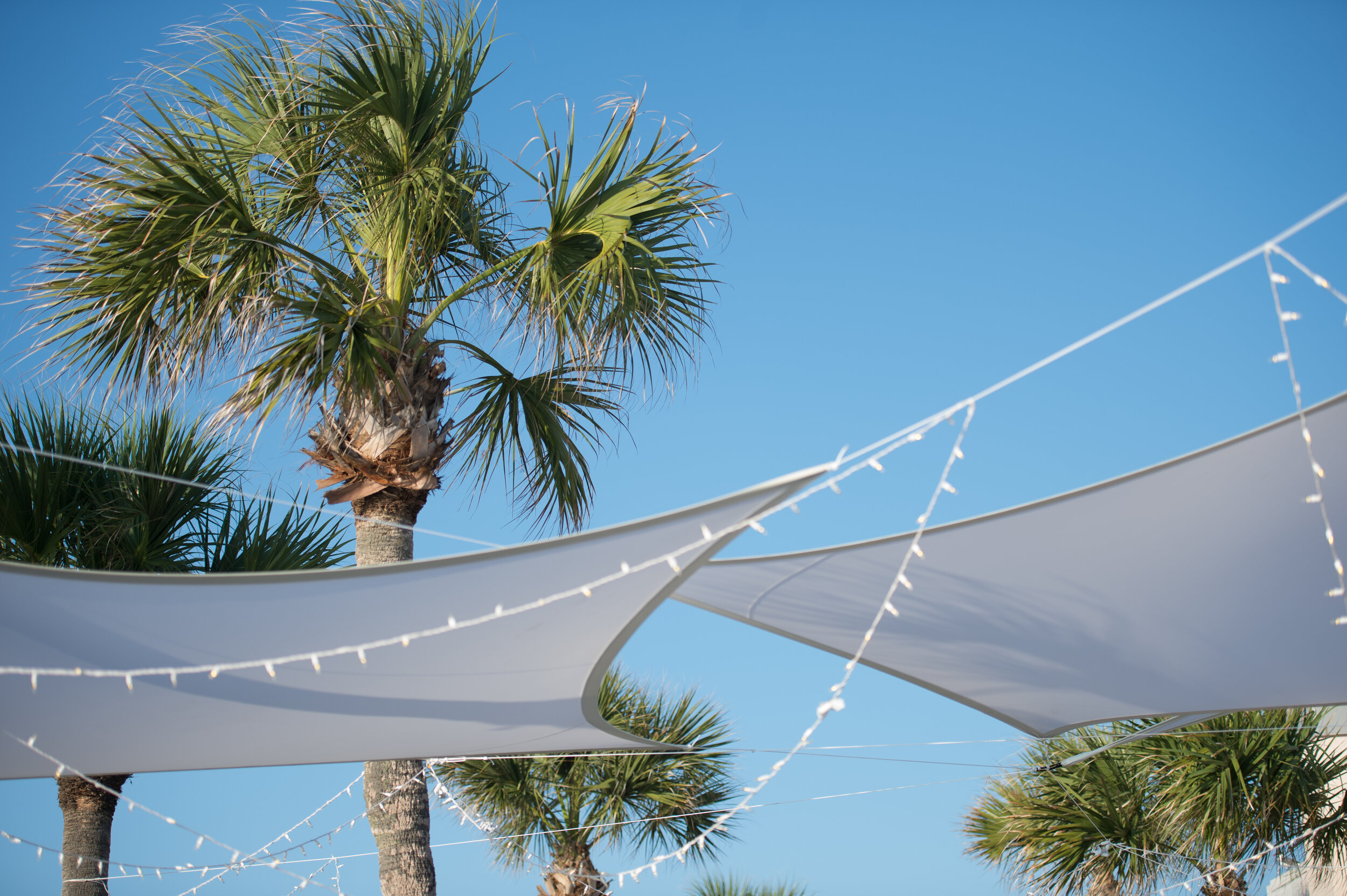 04 Reception-128.jpg