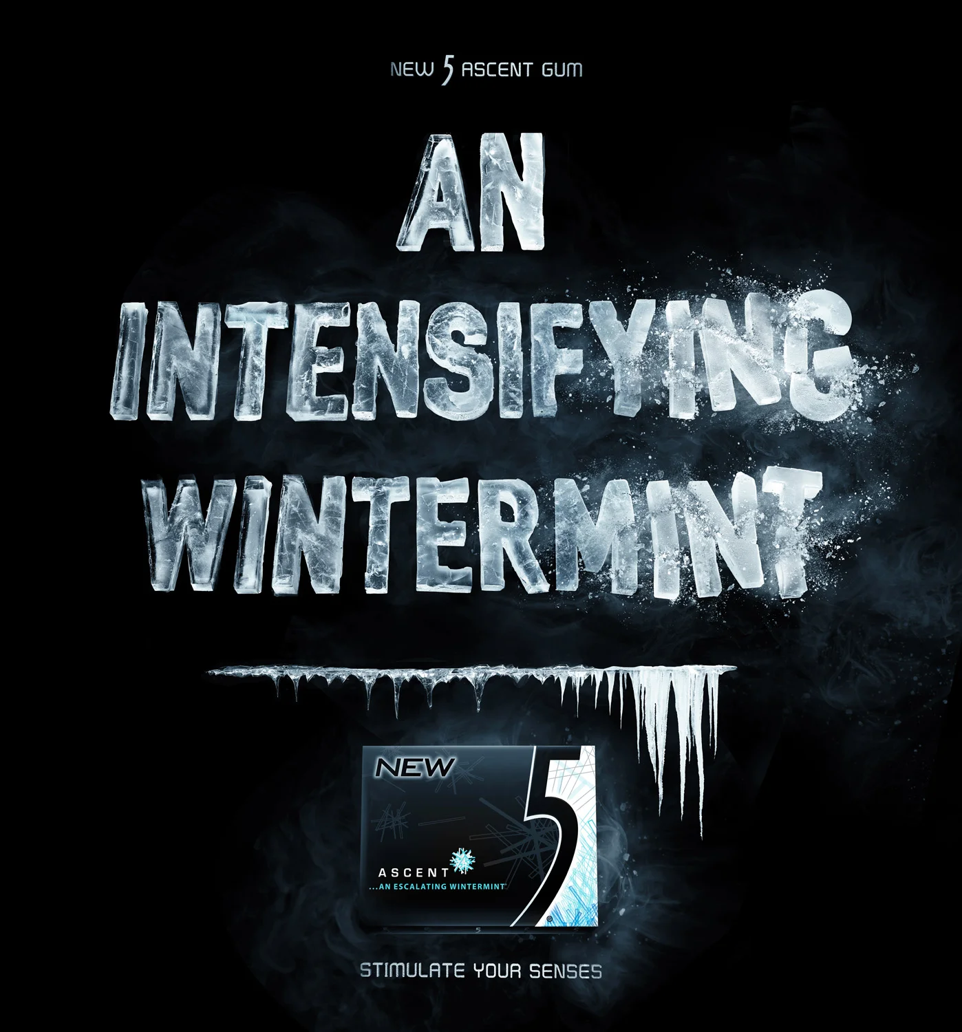 5gum_wintermint.jpg