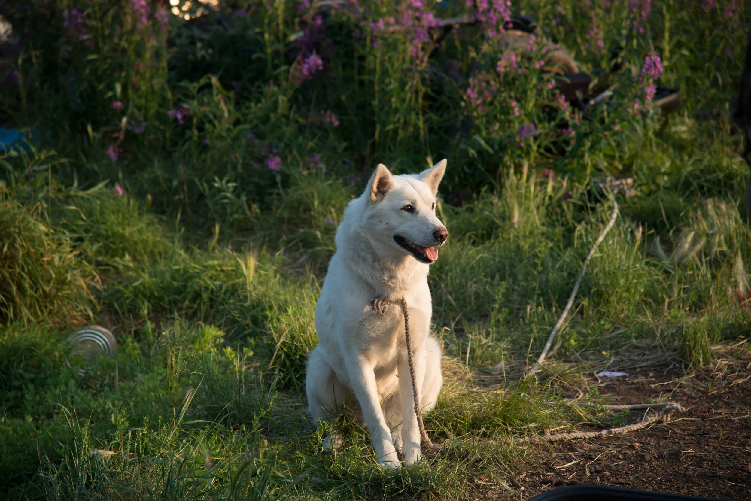 _8013429.jpg