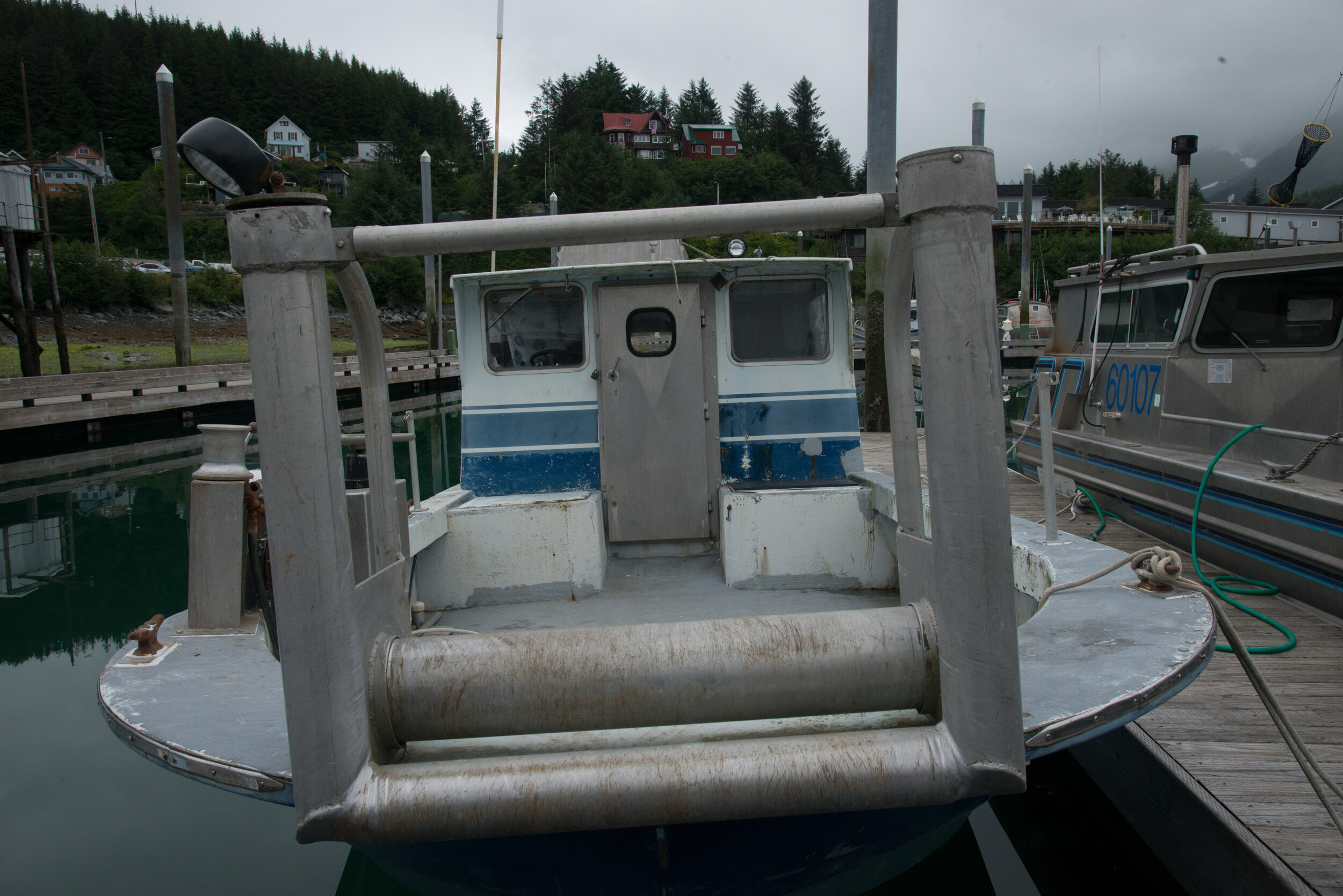 _8012119.jpg