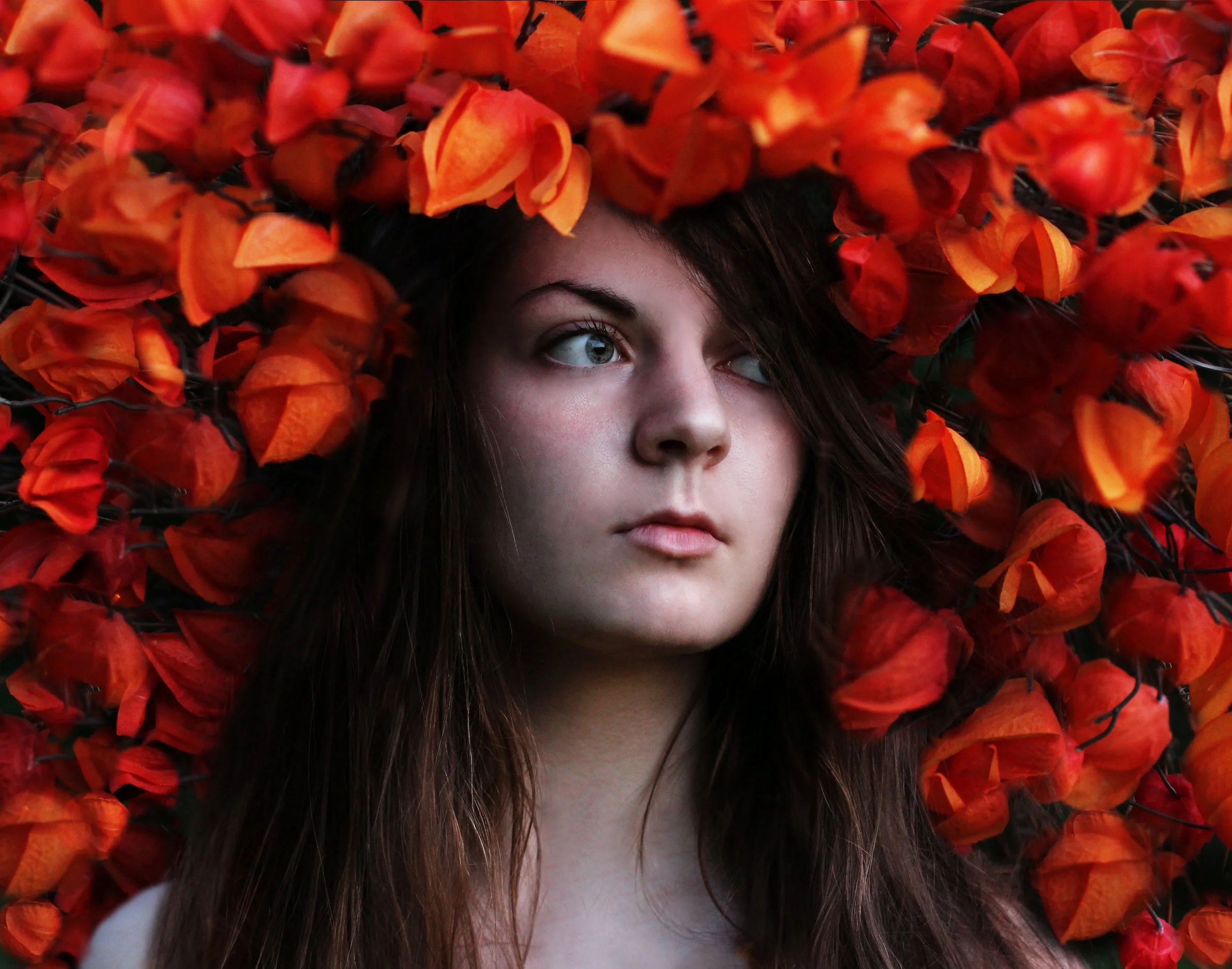 Bloom.JPG