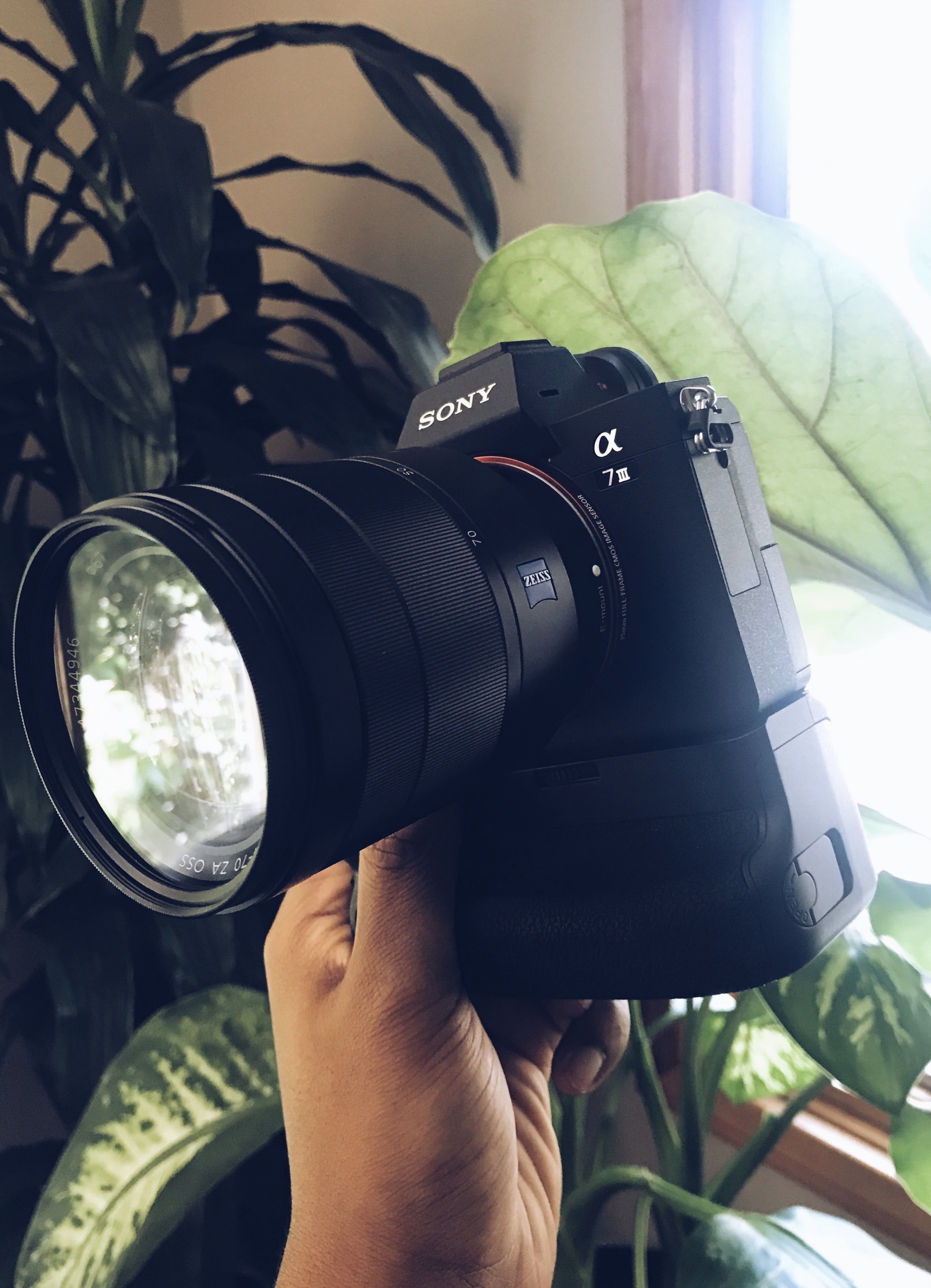 Sony A7 III Review