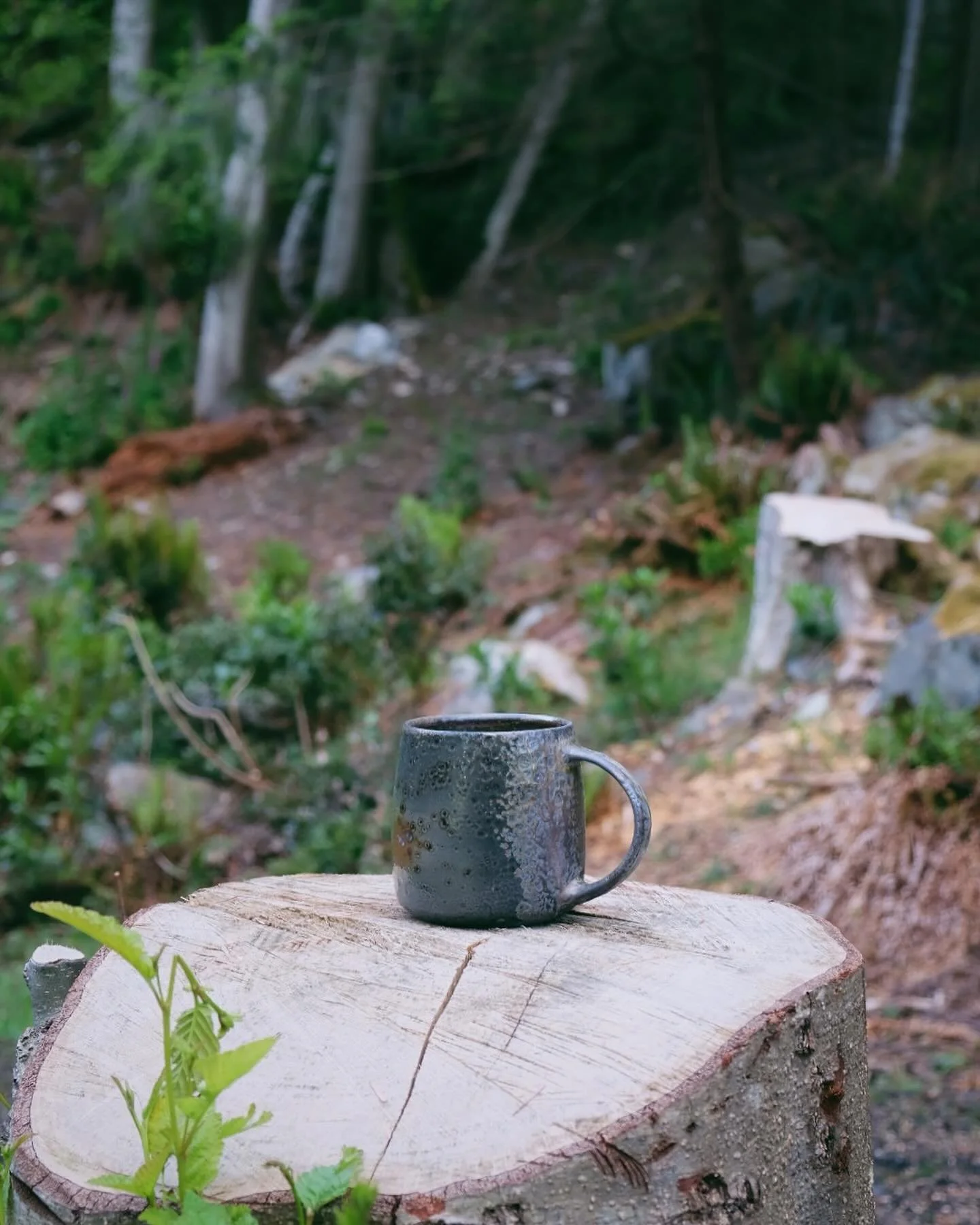 An extra juicy mug fired in the wood ash of some Alders we had to remove due to rot and lean. The tree ash contains all the minerals needed to melt and fuse with clay in a high-fire ^10 firing, but every firing is different based on the type of wood,