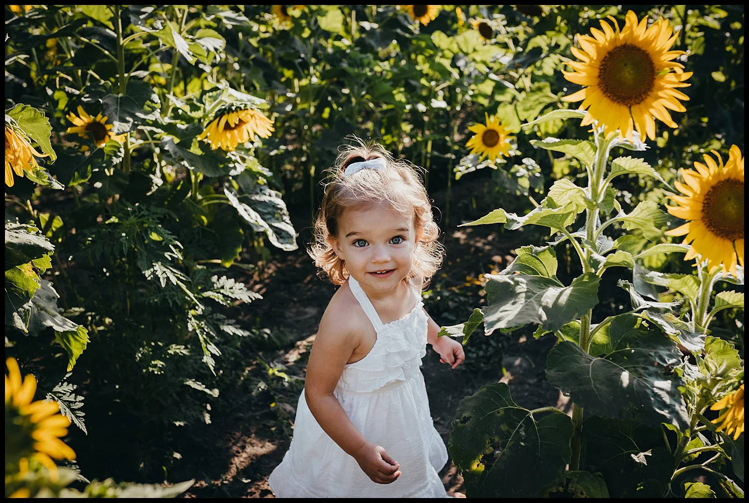 Sunflower Field Photography Desiree Hoelzle Photography Desiree Hoelzle Photography Blog