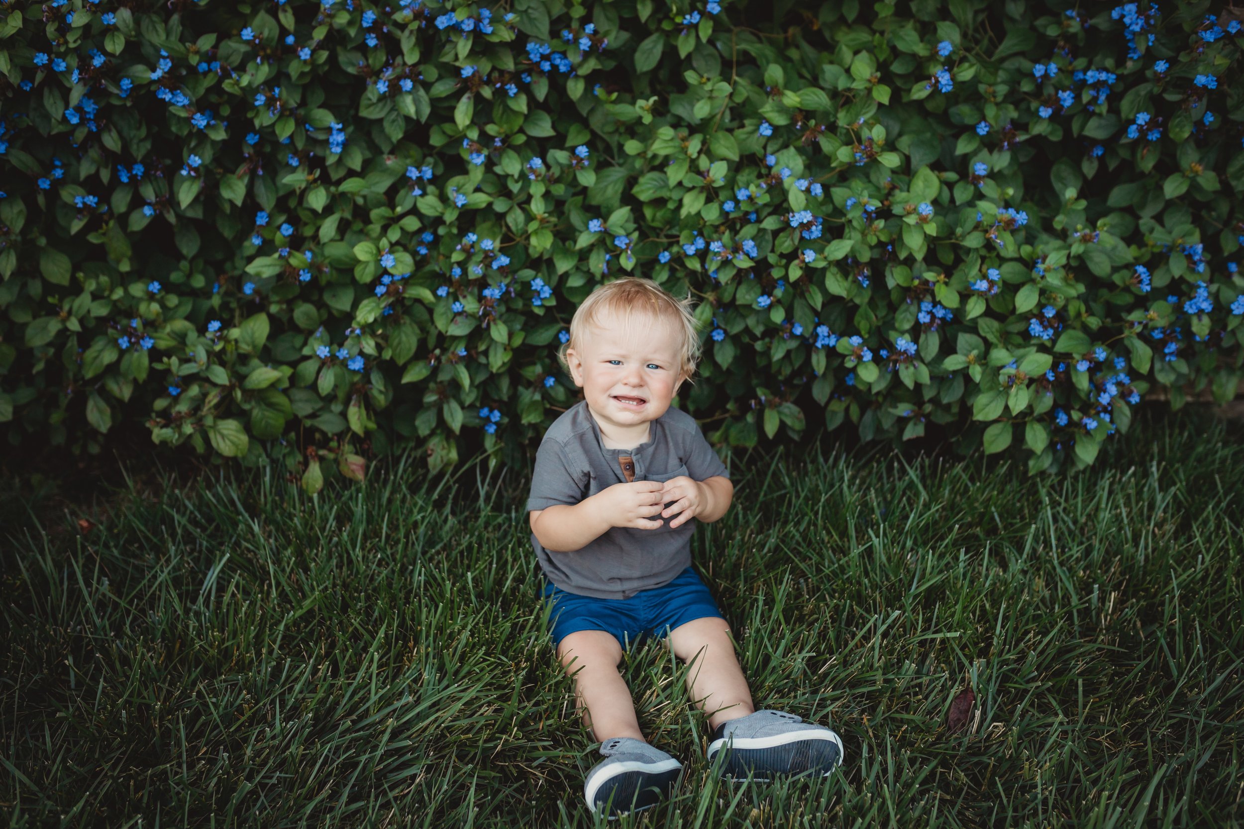 Family Photography Session at Morris Arboretum with Desiree Hoelzle Photography 