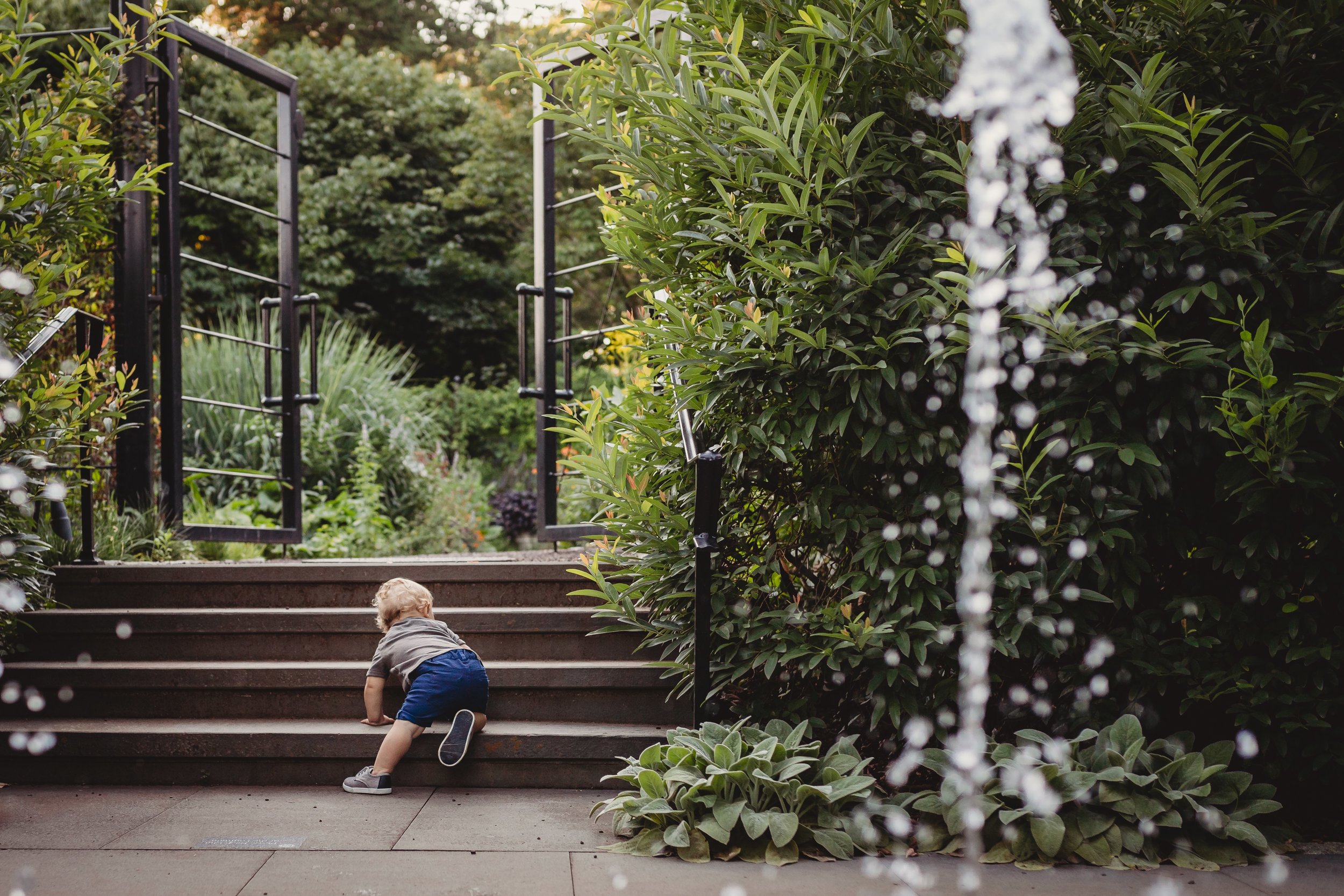 First Birthday Photo Session in Chestnut Hill with Desiree Hoelzle Photography