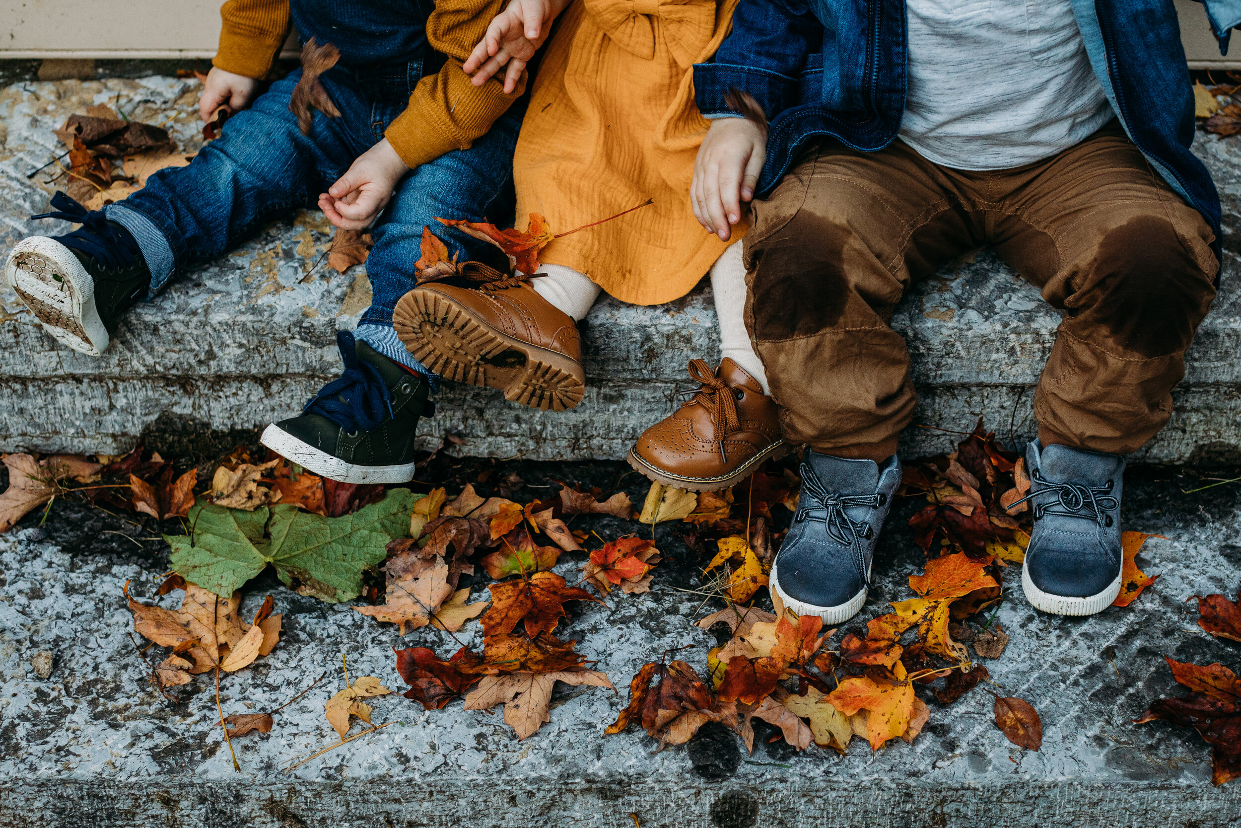 Newtown PA Family Photography _ Desiree Hoelzle Photography