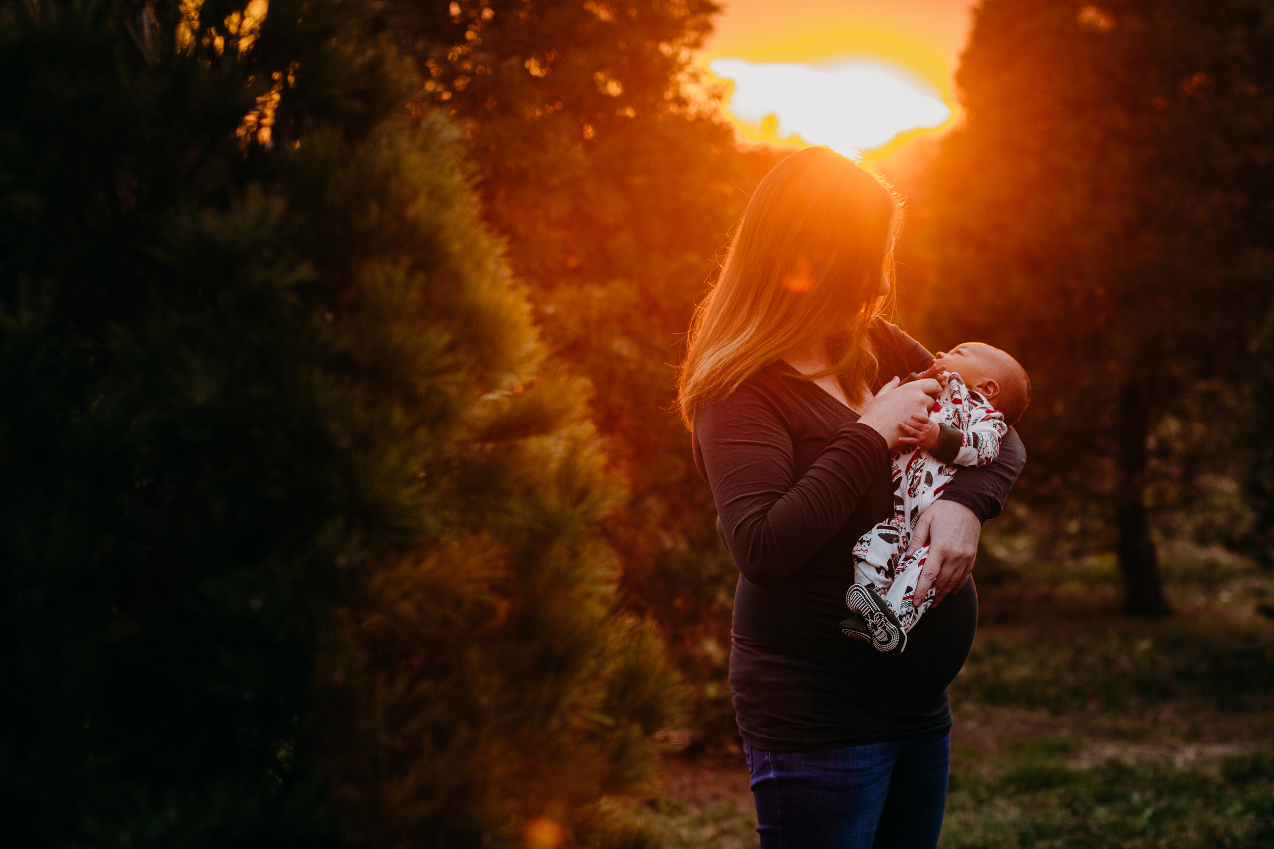 Christmas Tree Farm Newborn Session _ Desiree Hoelzle Photography