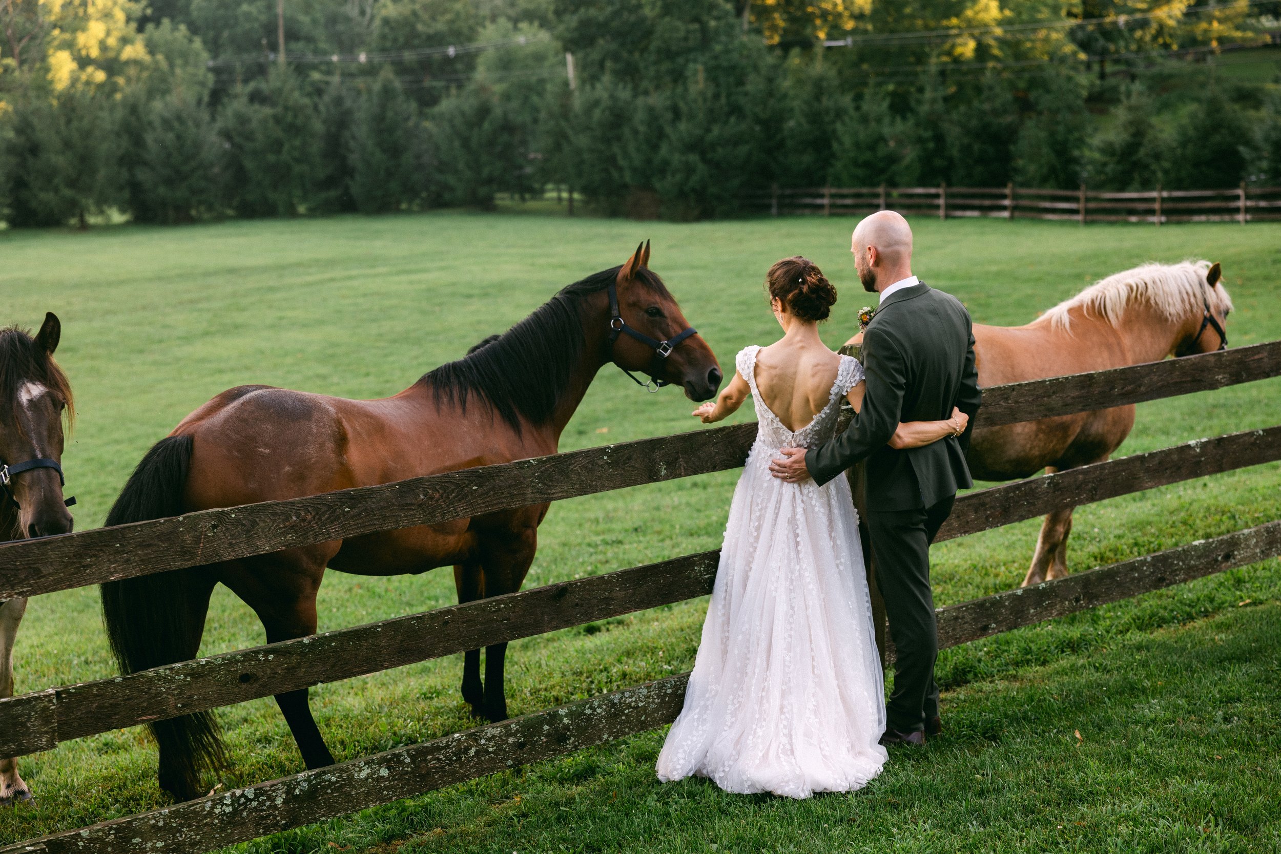 Durham Hill Wedding Photographers _ Desiree Hoelzle Photography