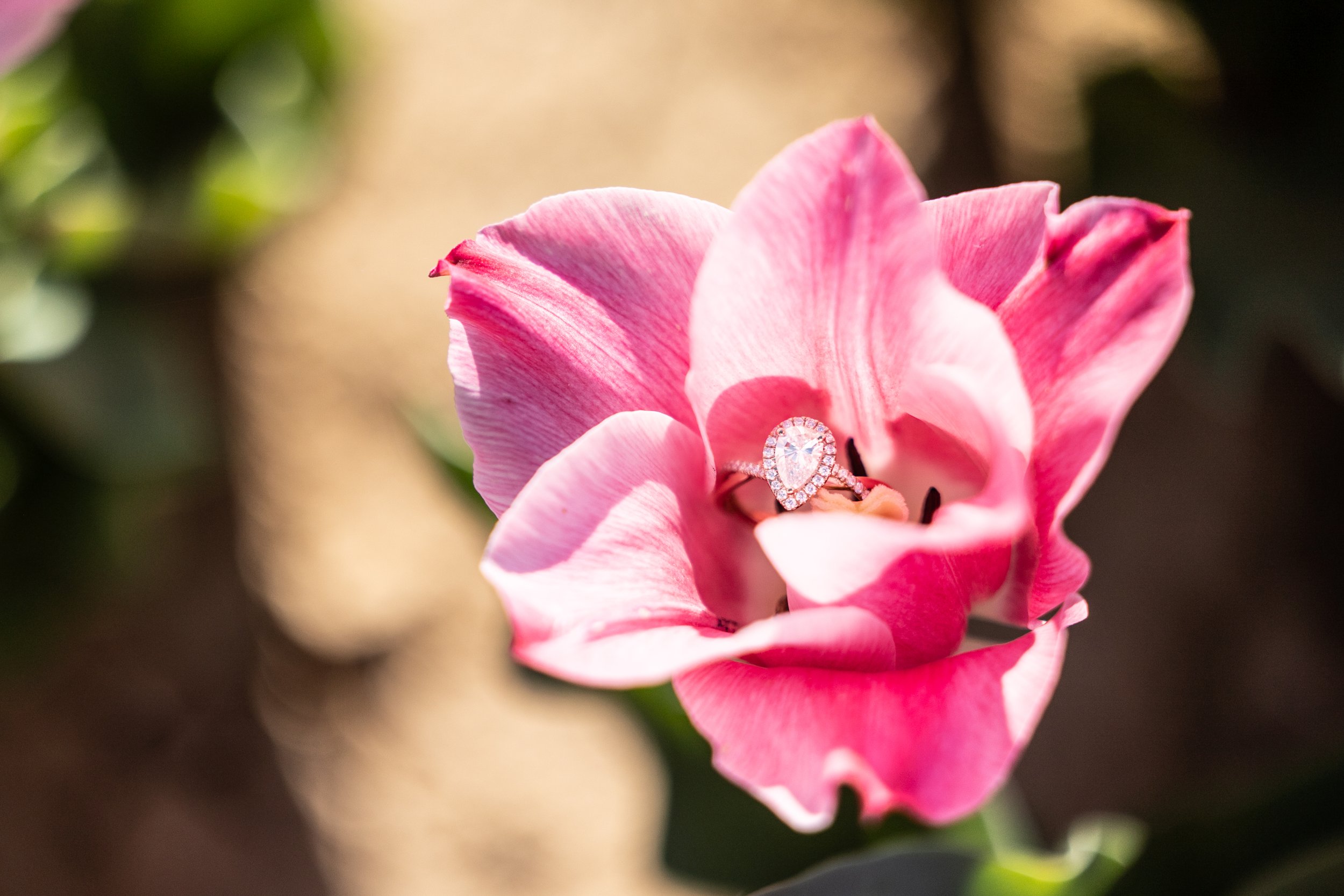 Holland Ridge Farms Engagement Photographers _ Desiree Hoelzle Photography