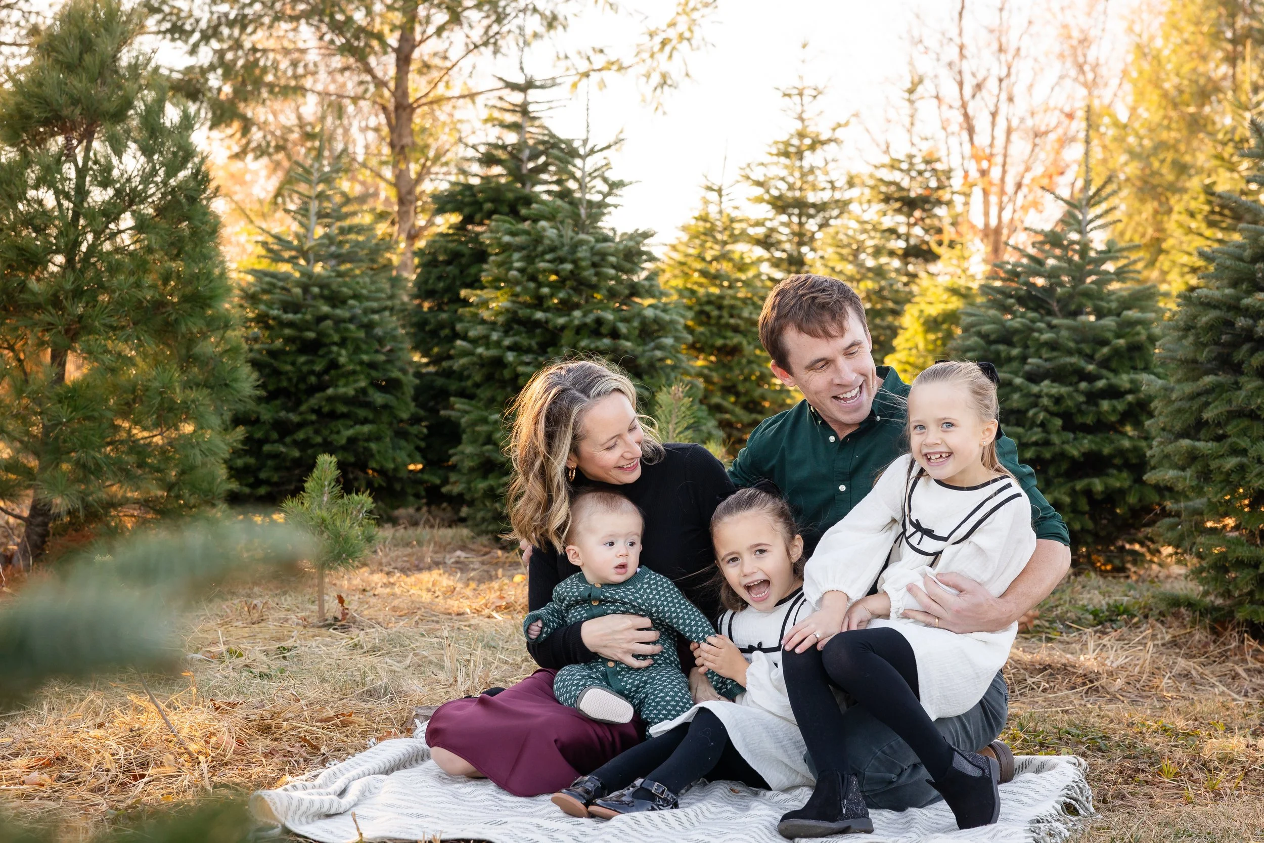 Christmas Mini Session _ Desiree Hoelzle Photography