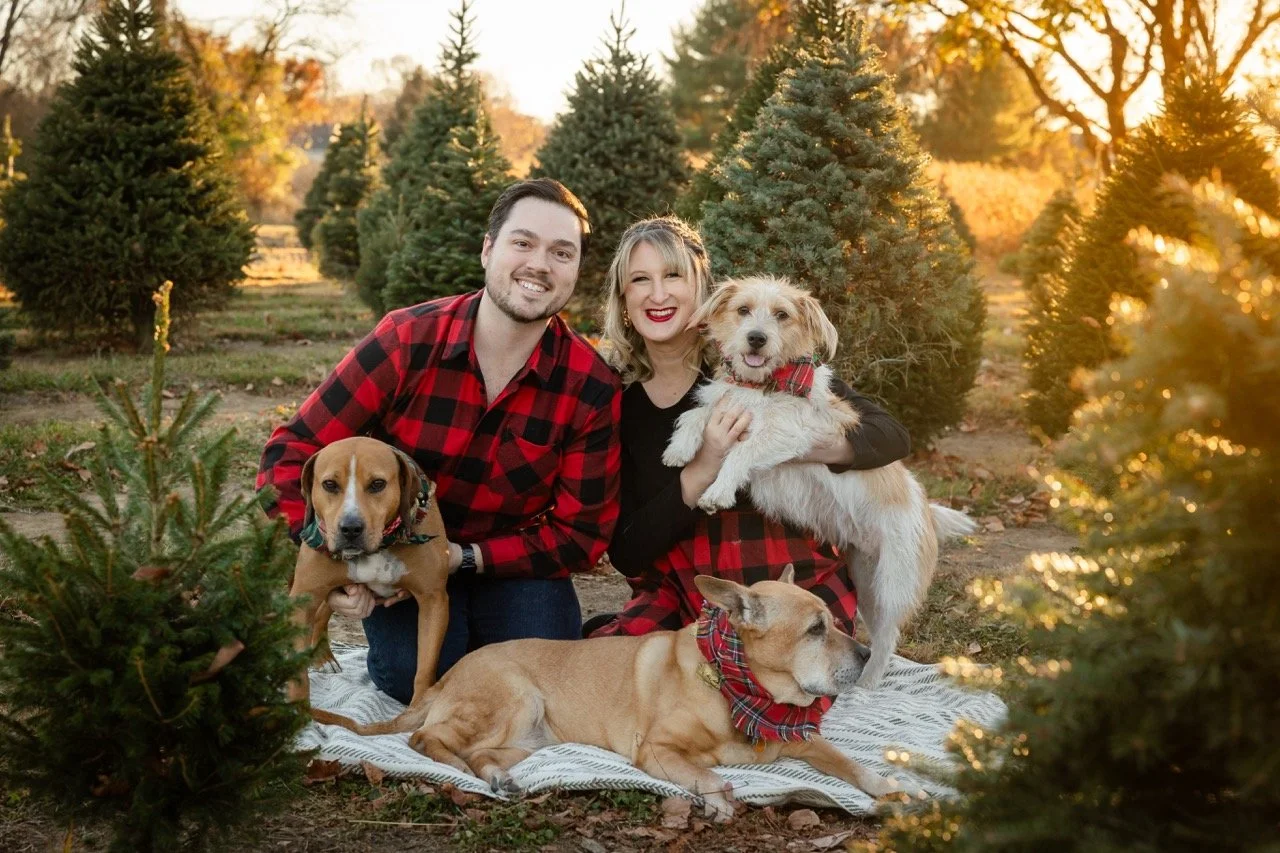 Christmas Mini Session _ Desiree Hoelzle Photography