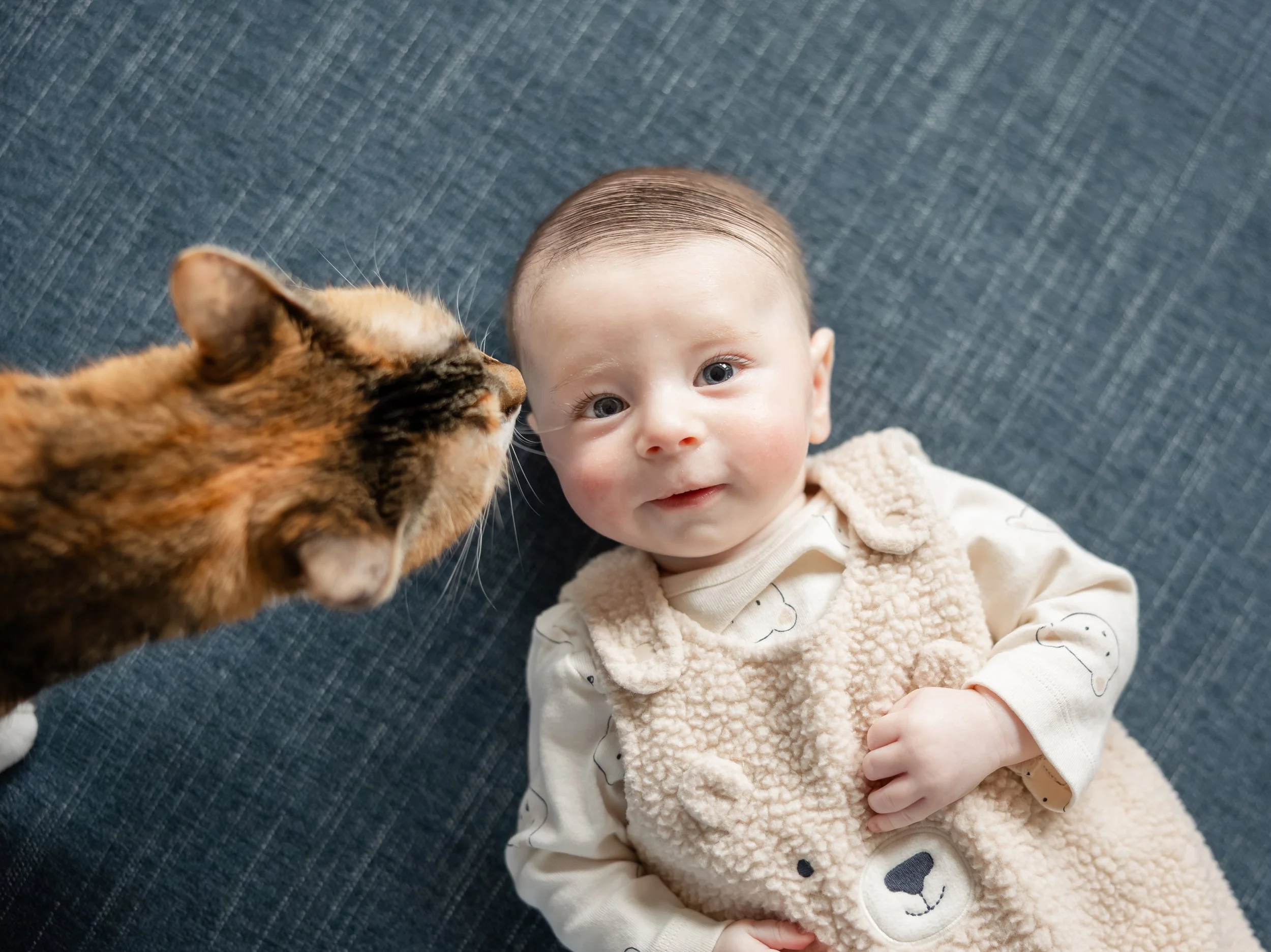 Yardley PA Newborn Photographers_ Desiree Hoelzle Photography