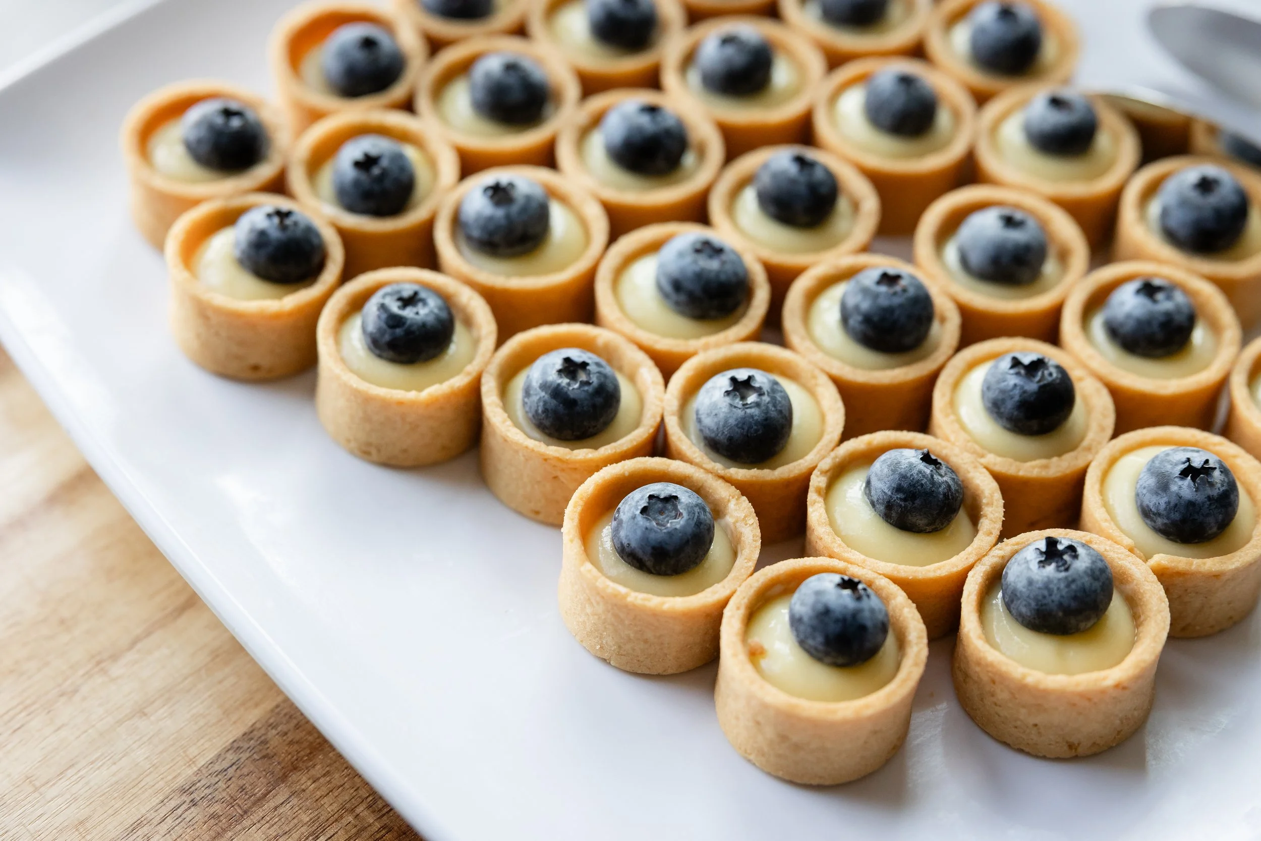 Lambertville Bridal Shower Photographers _ Desiree Hoelzle Photography