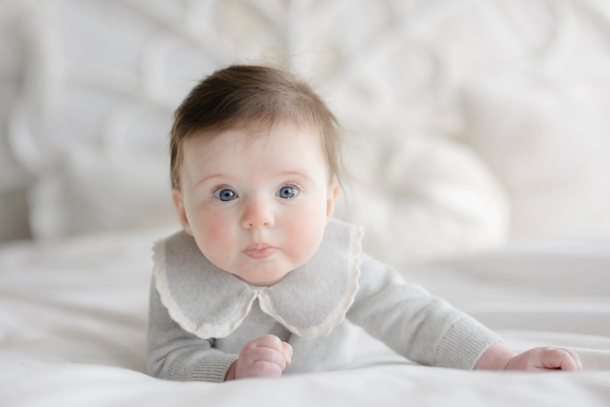 Bucks County Baby Photographers _ Desiree Hoelzle photography