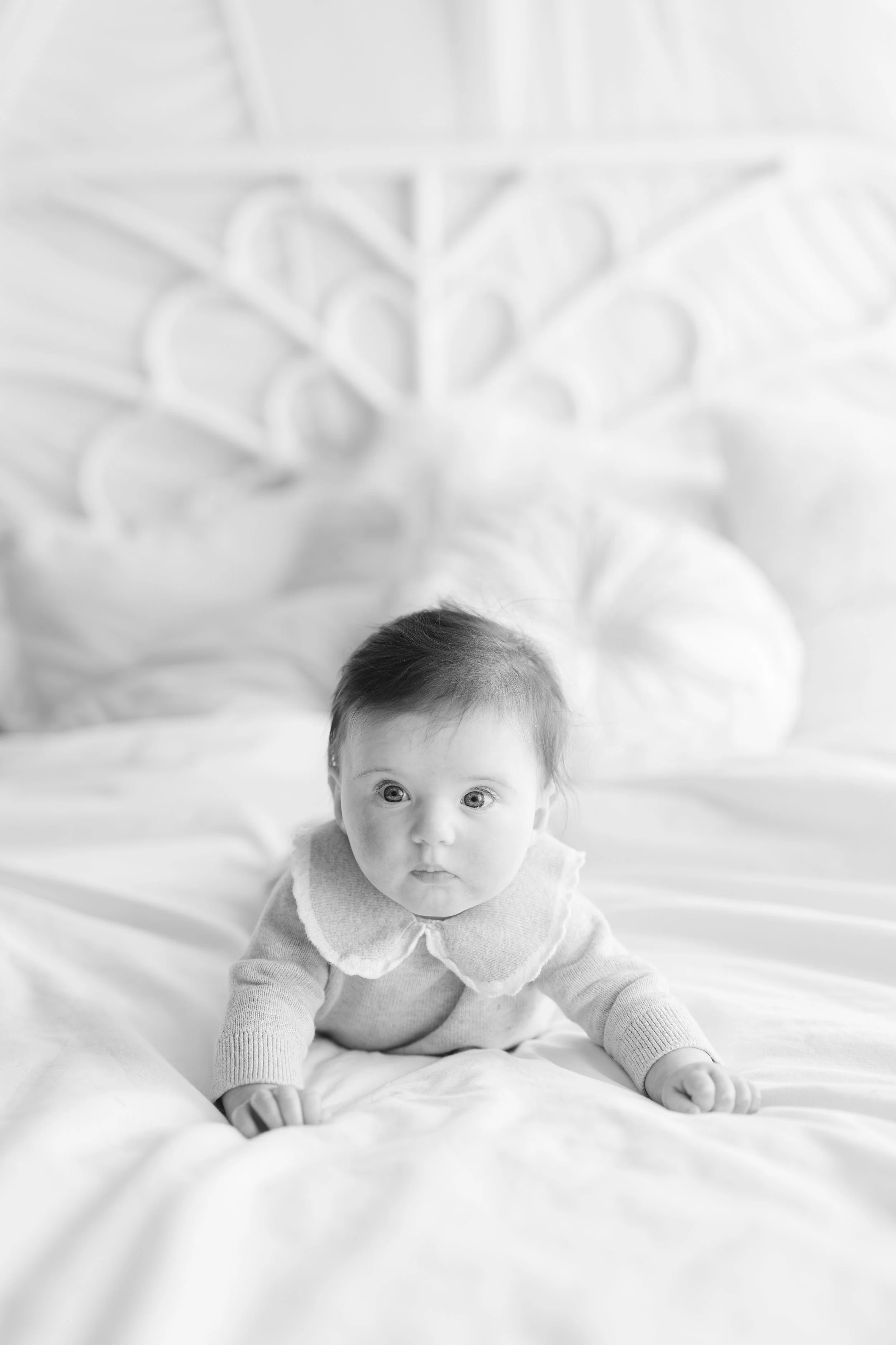 New Hope PA Family Photography Studio _ Desiree Hoelzle photography