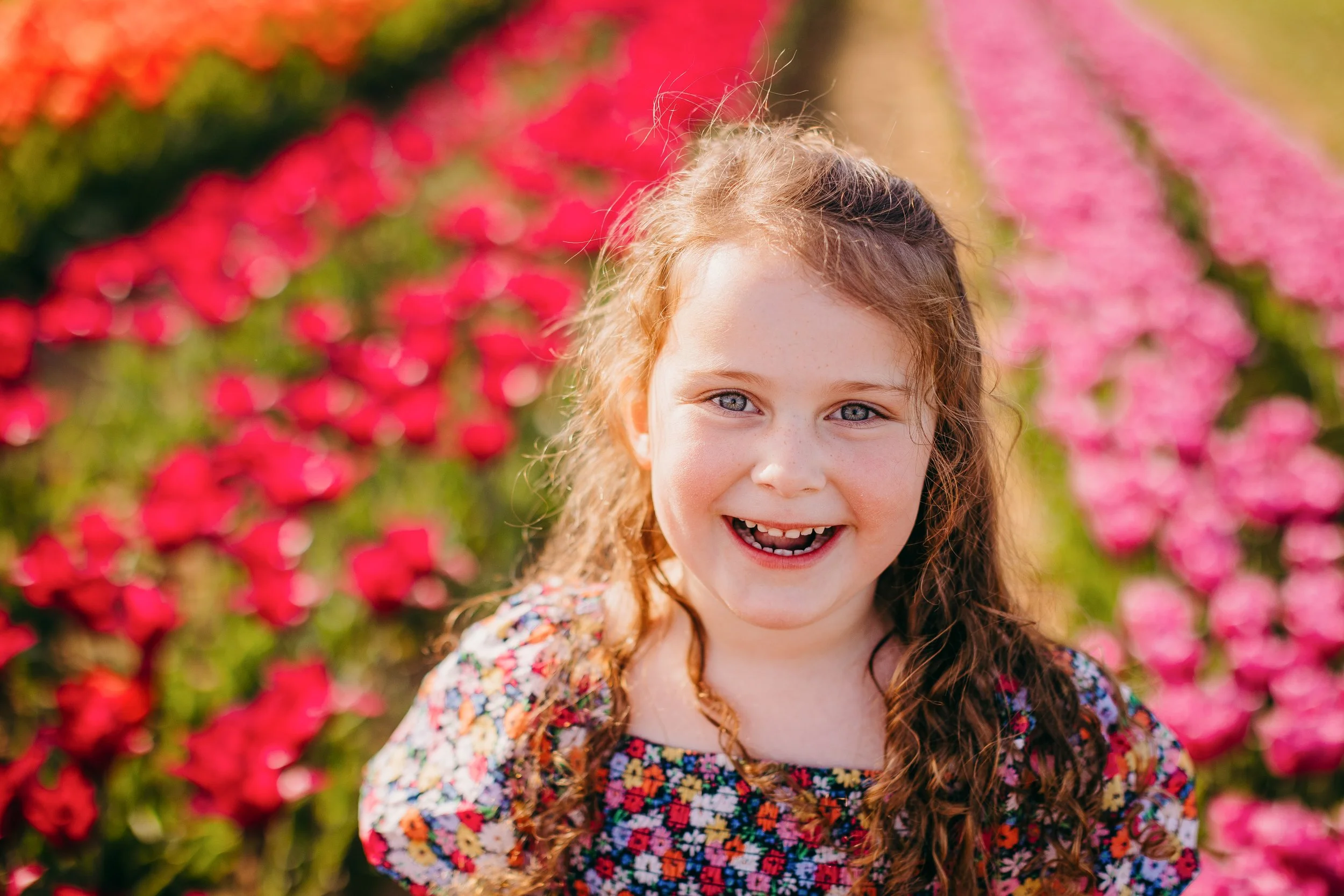 Holland Ridge Tulip Farm Photography _ Desiree Hoelzle Photography