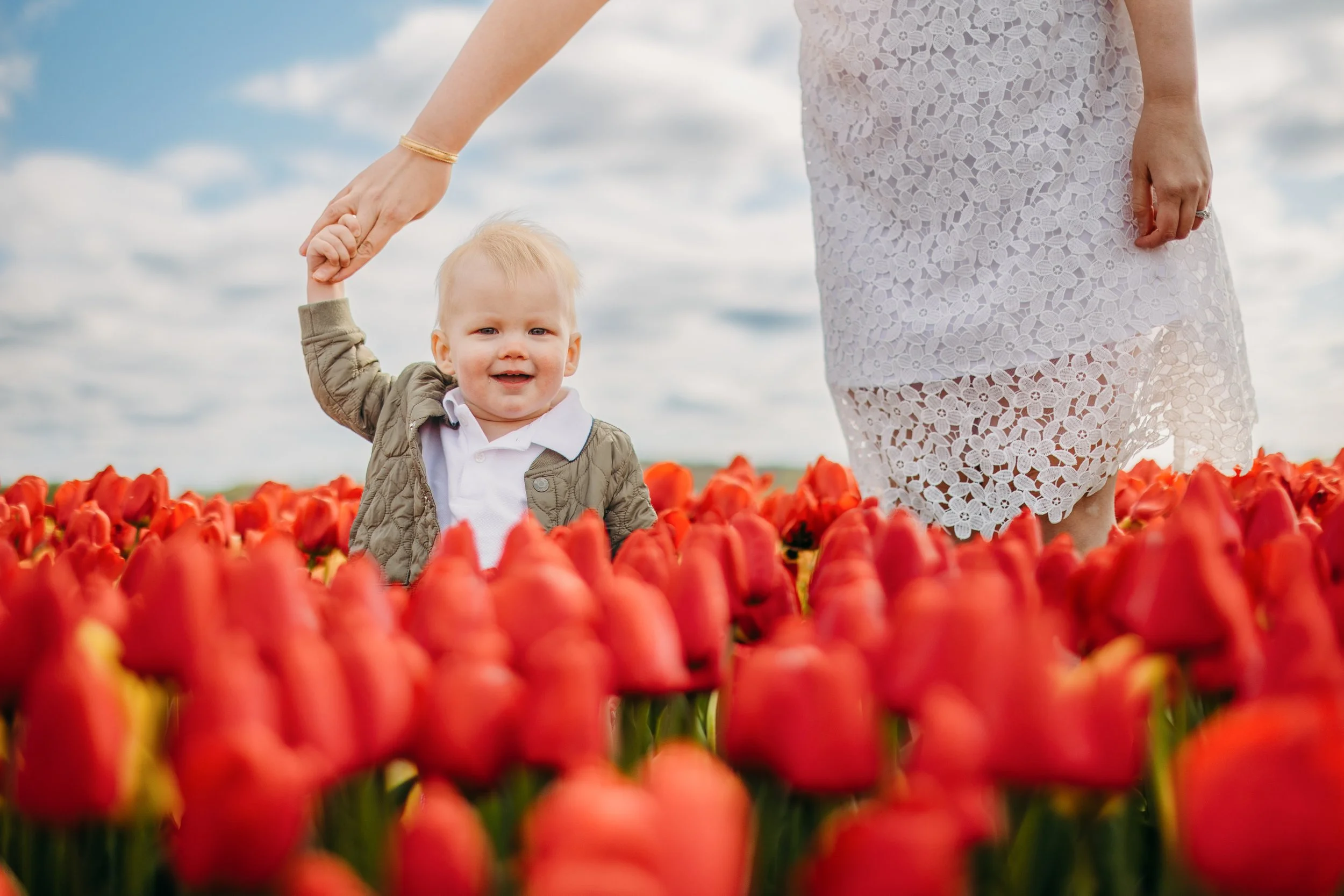 Holland Ridge Tulip Farm Photography _ Desiree Hoelzle Photography