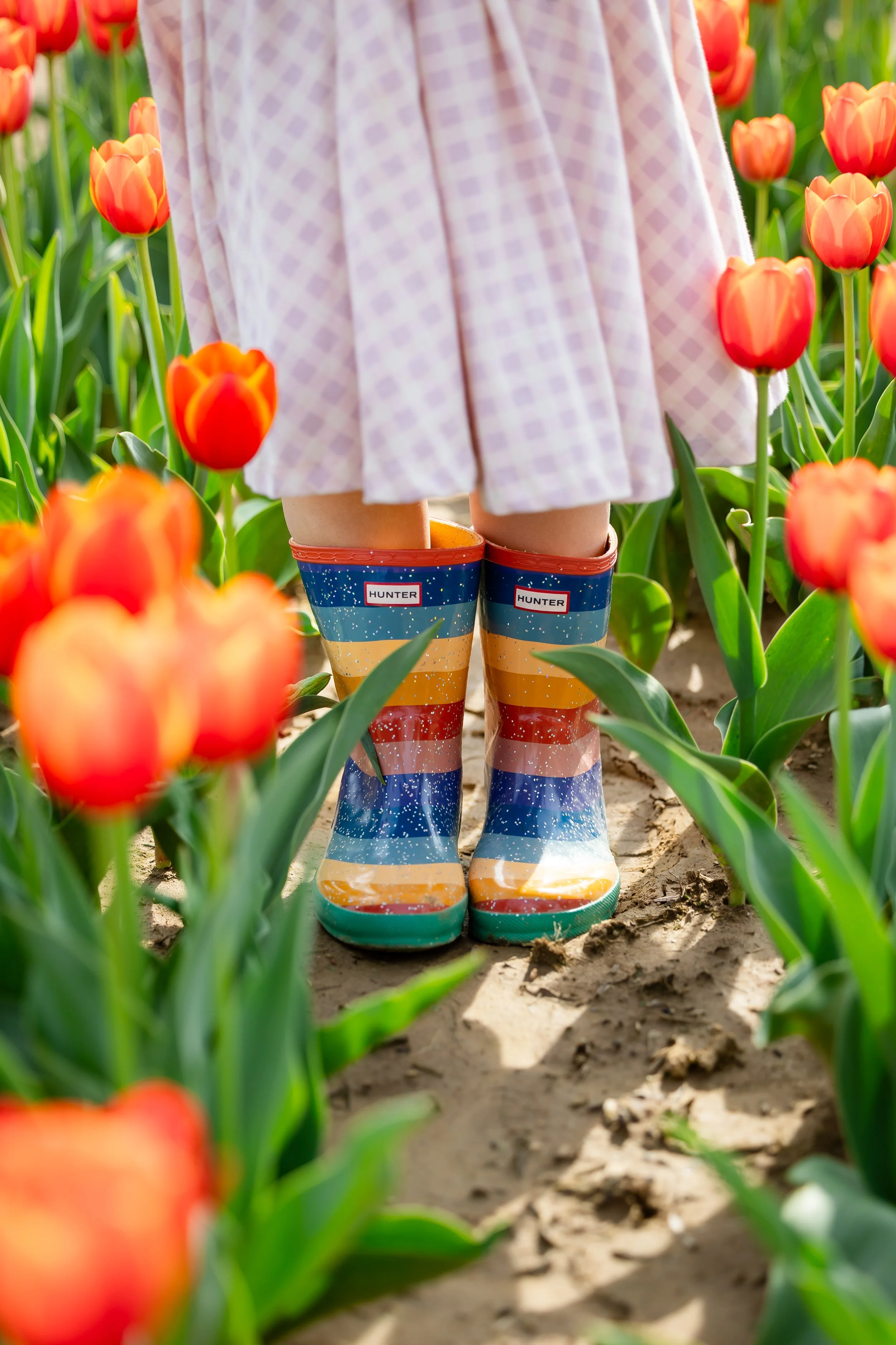 Holland Ridge Tulip Farm Photography _ Desiree Hoelzle Photography