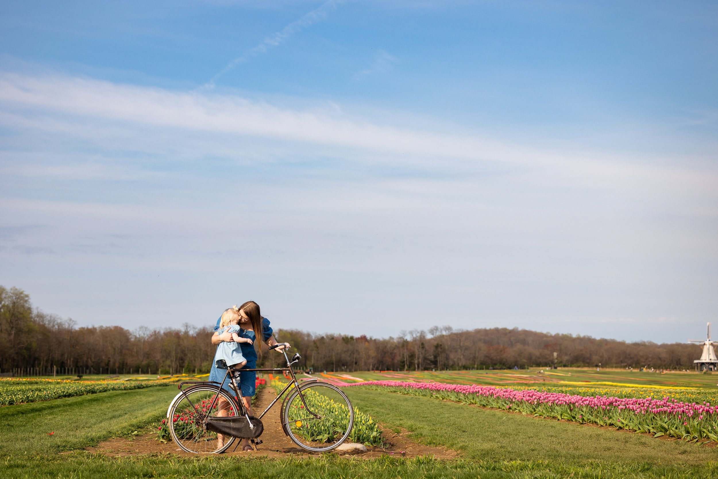 Holland Ridge Tulip Farm Photography _ Desiree Hoelzle Photography