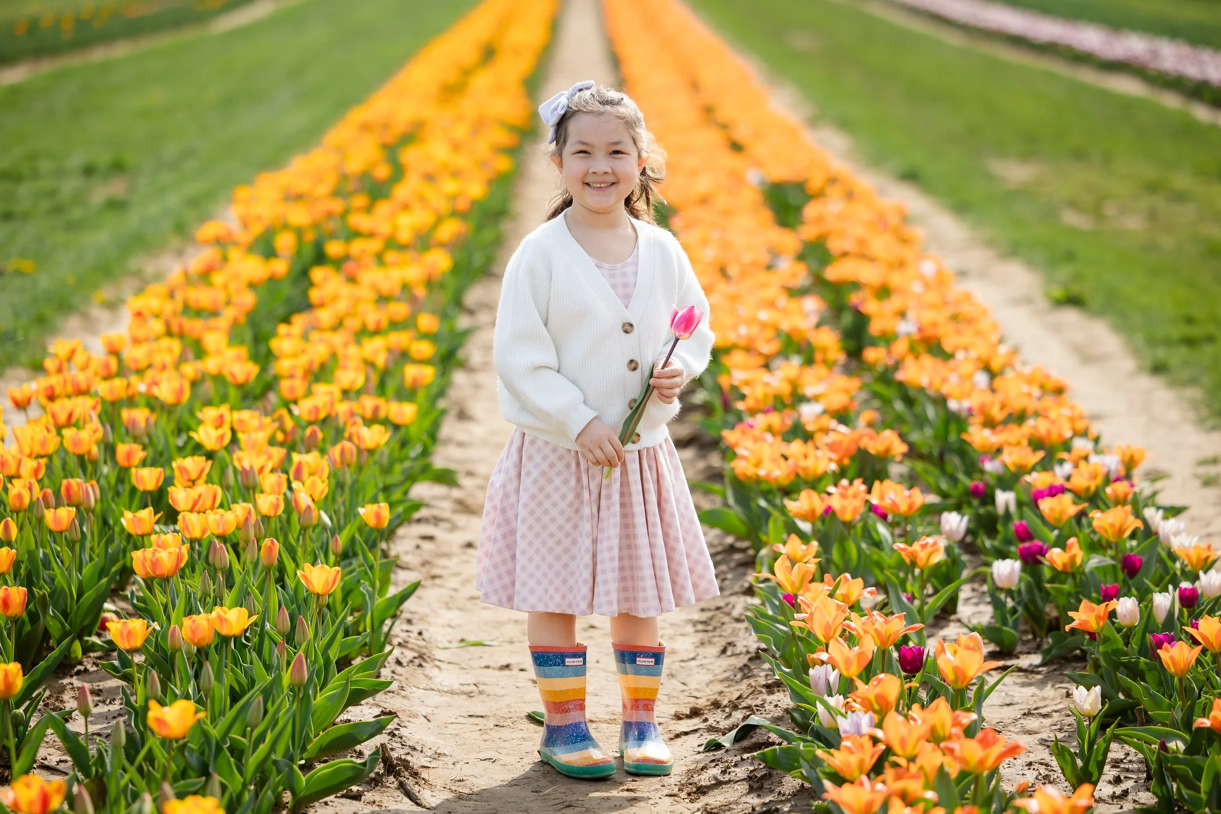 Holland Ridge Tulip Farm Photography _ Desiree Hoelzle Photography