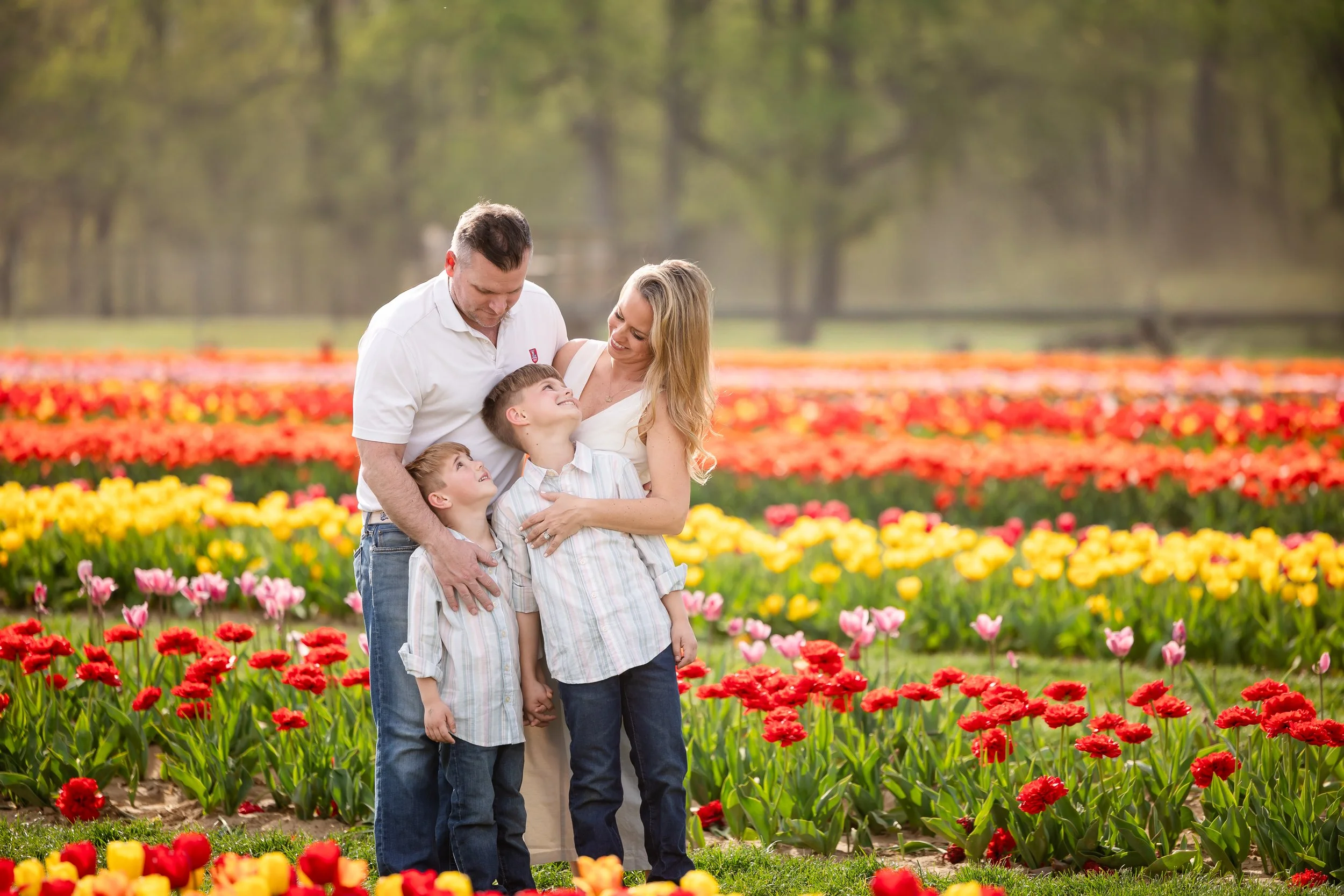 Holland Ridge Tulip Farm Photography _ Desiree Hoelzle Photography