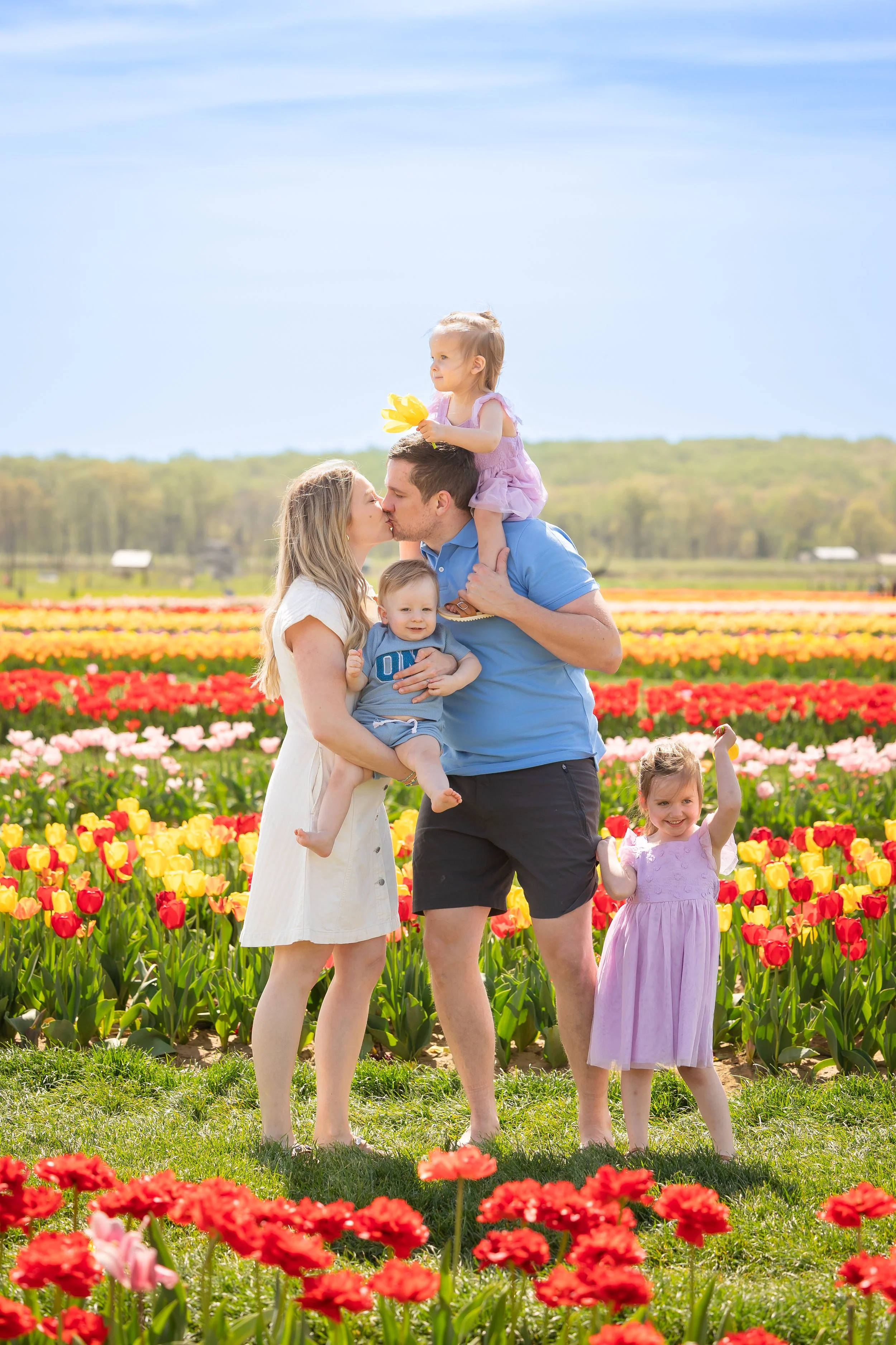Holland Ridge Tulip Farm Photography _ Desiree Hoelzle Photography