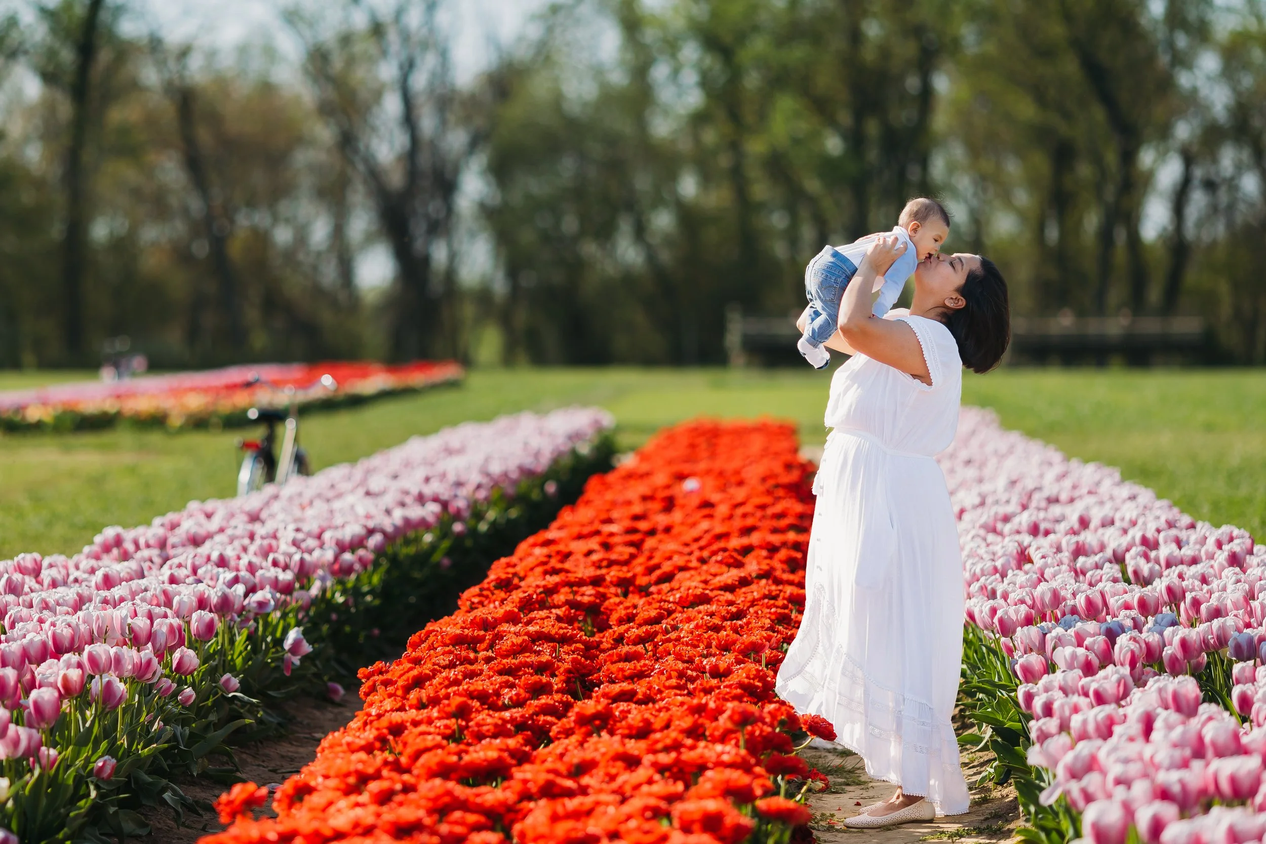 Holland Ridge Tulip Farm Photography _ Desiree Hoelzle Photography