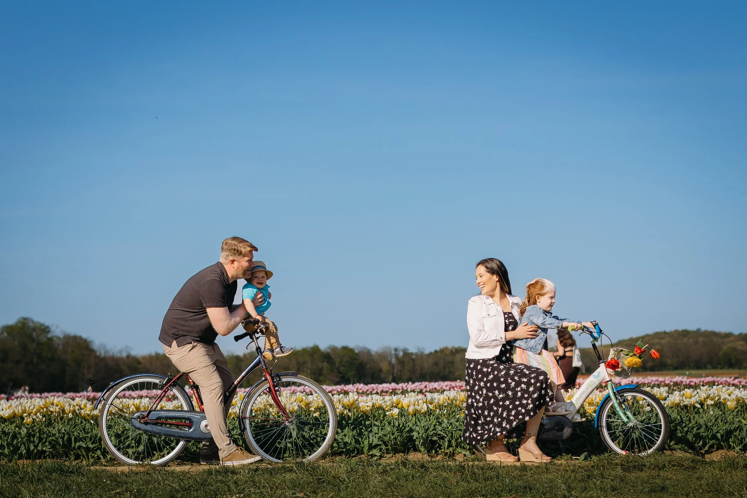 Holland Ridge Tulip Farm Photography _ Desiree Hoelzle Photography