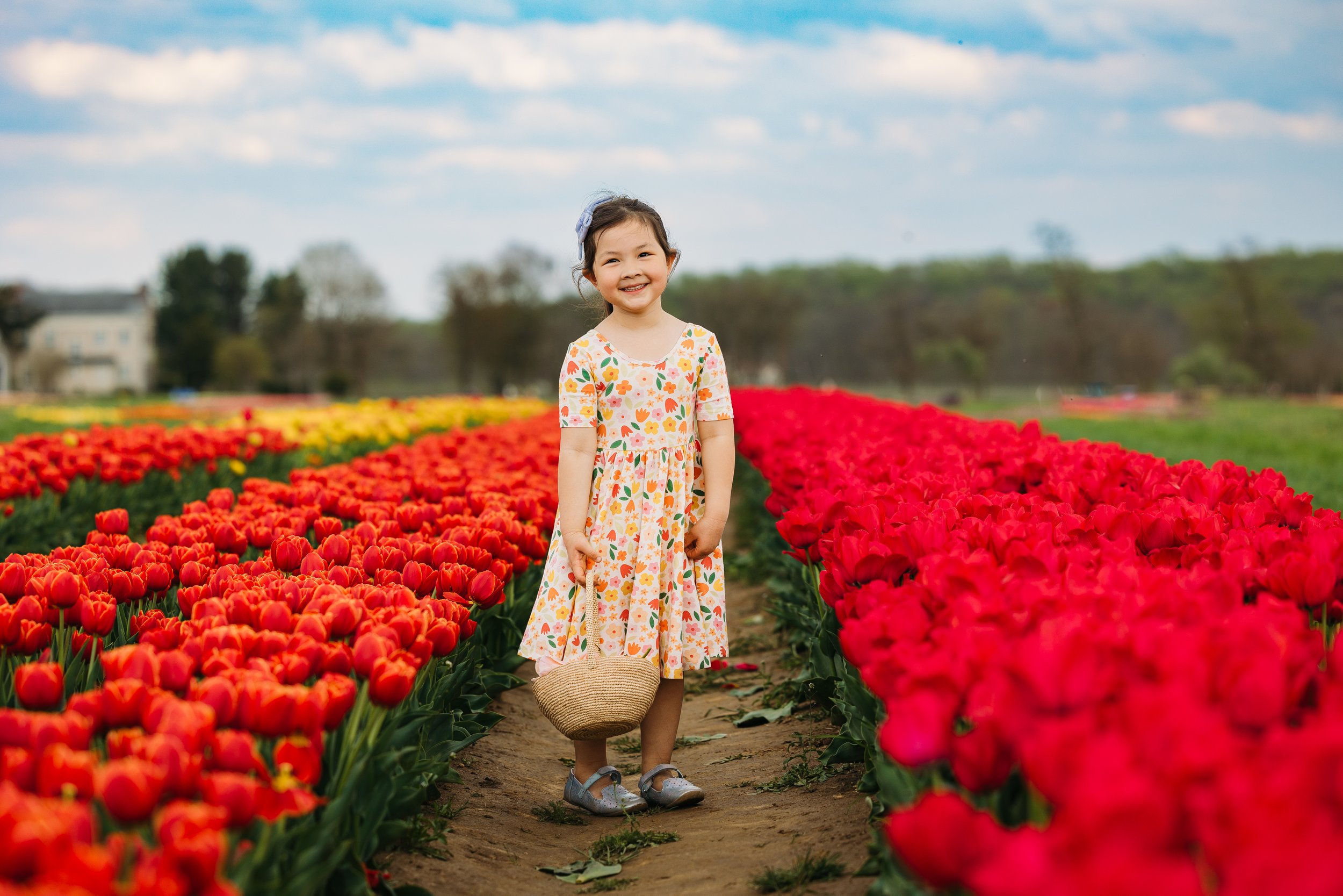 Holland Ridge Tulip Farm Photography _ Desiree Hoelzle Photography