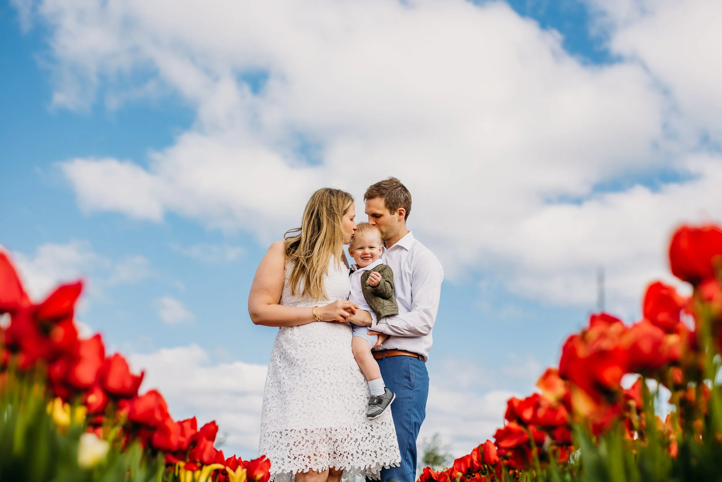 Holland Ridge Tulip Farm_ Desiree Hoelzle Photography
