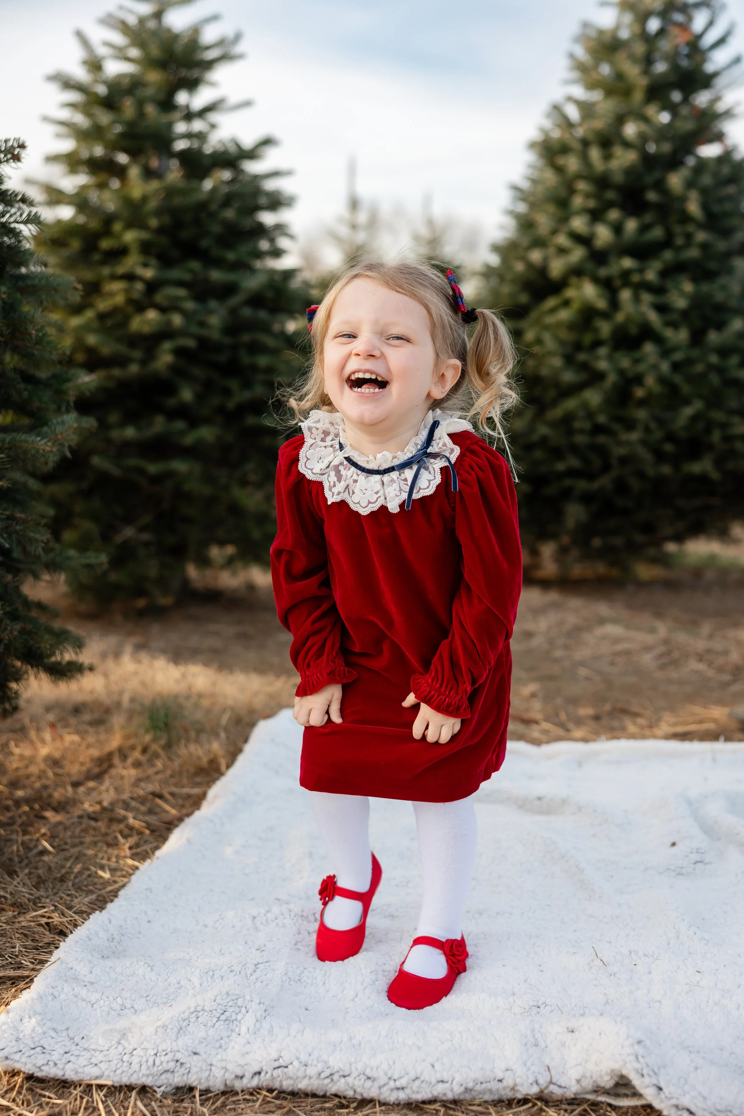 Bucks County Christmas Tree Farm photographer _ Desiree Hoelzle photography