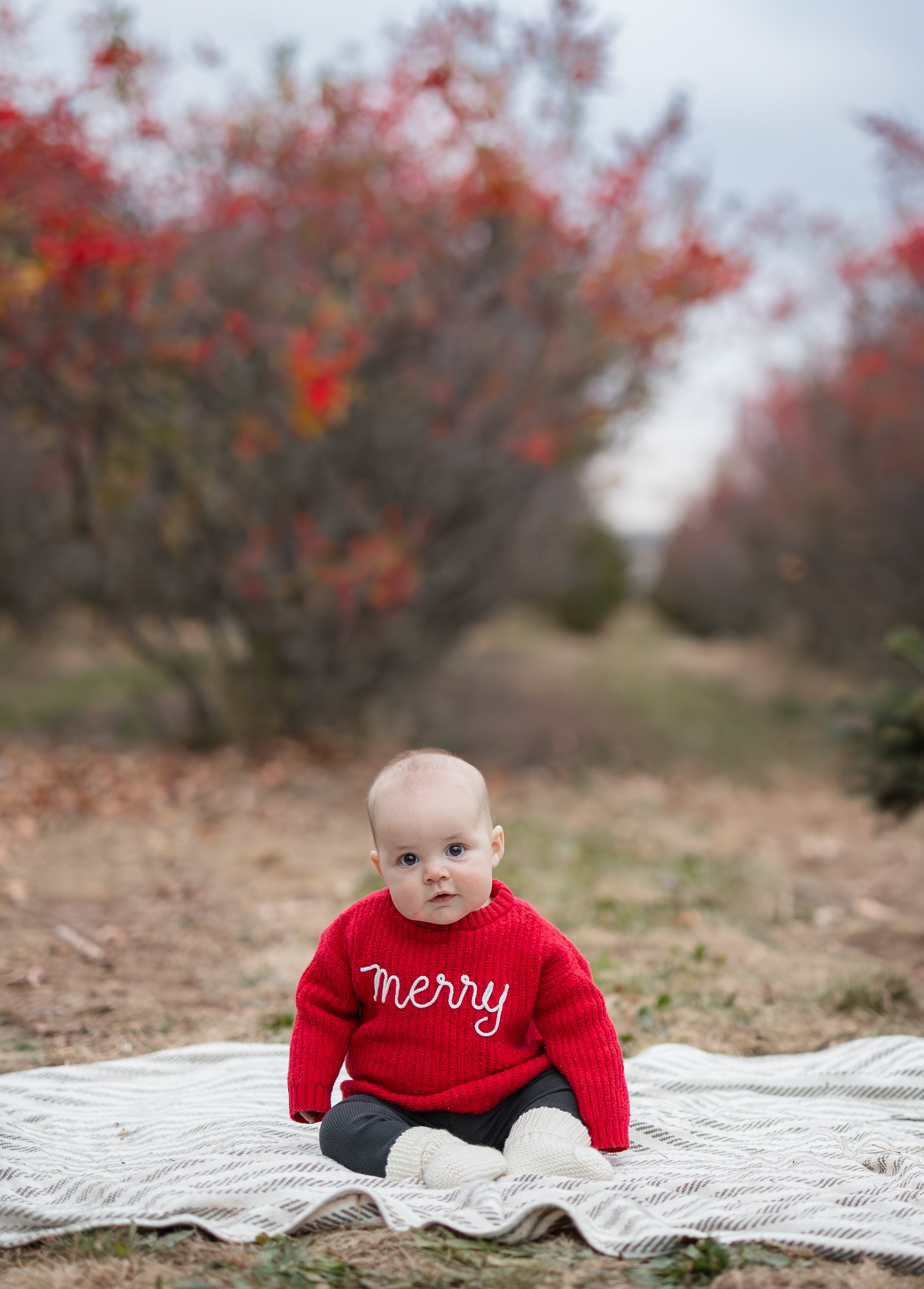 Smith Winterberries 2025-23.jpg