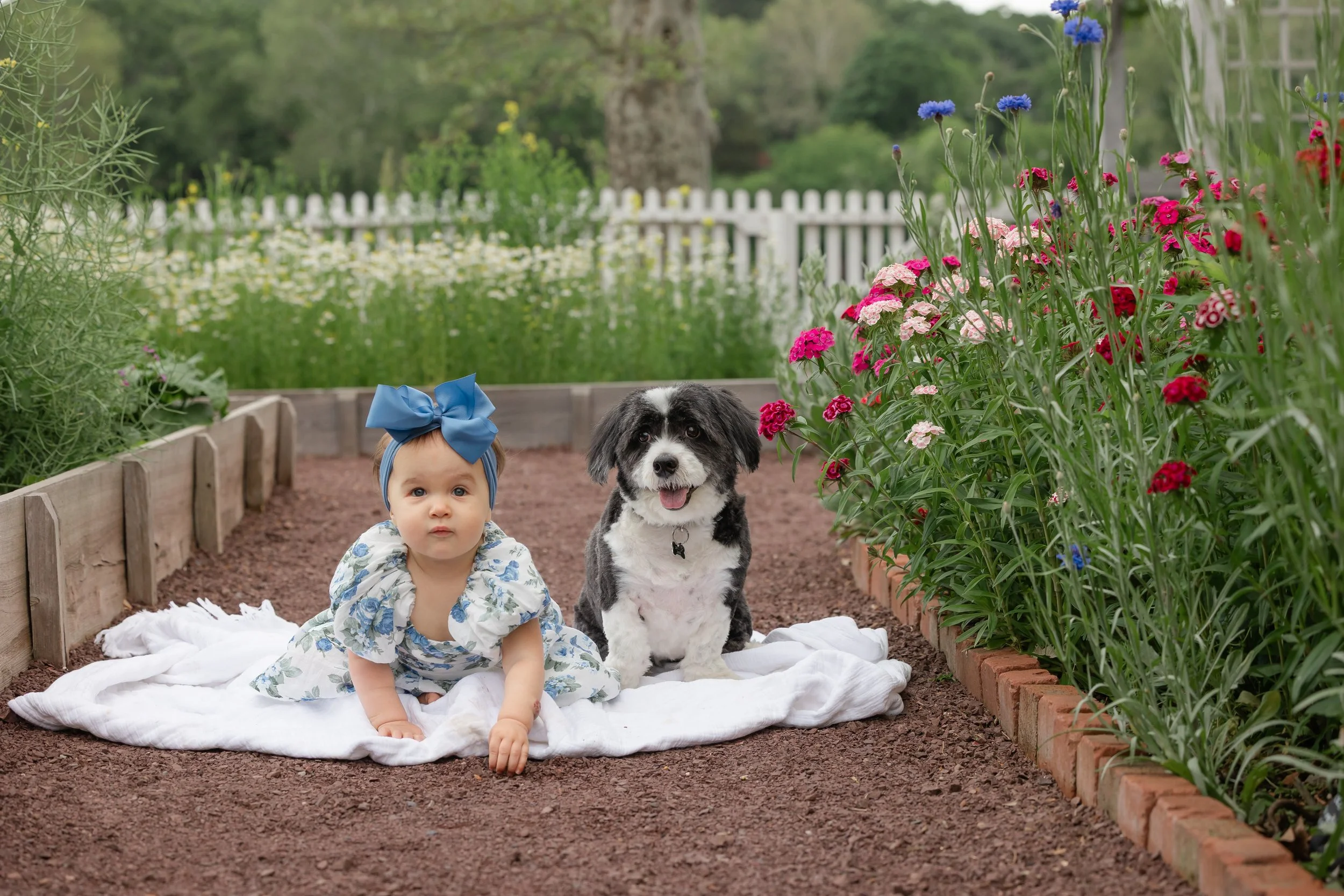 Gibbs Spring Mini 2026-21.jpg